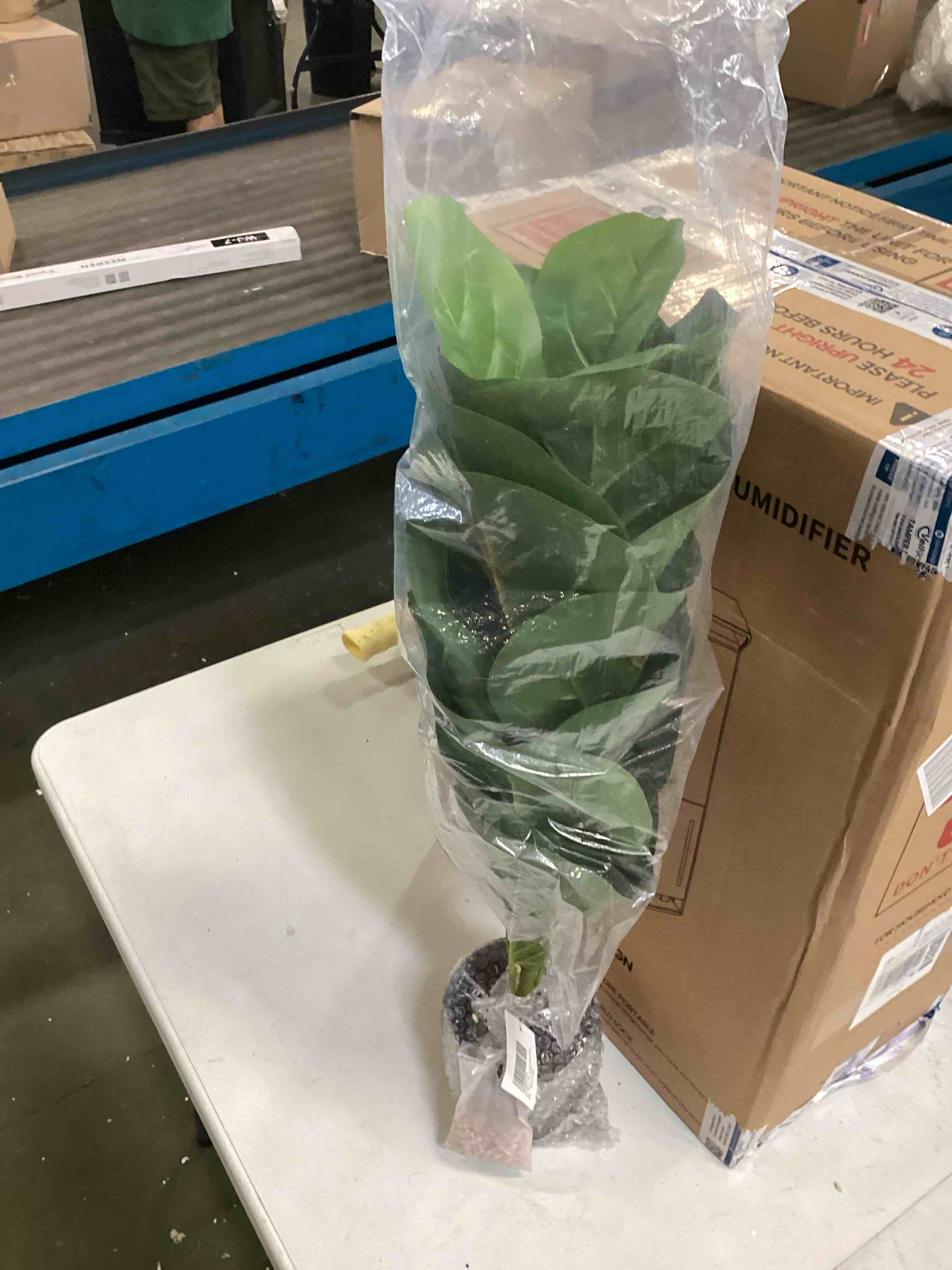 https://s3.amazonaws.com/lotting-images-prod/bidfta/BLU6725422_1722870610731.jpeg