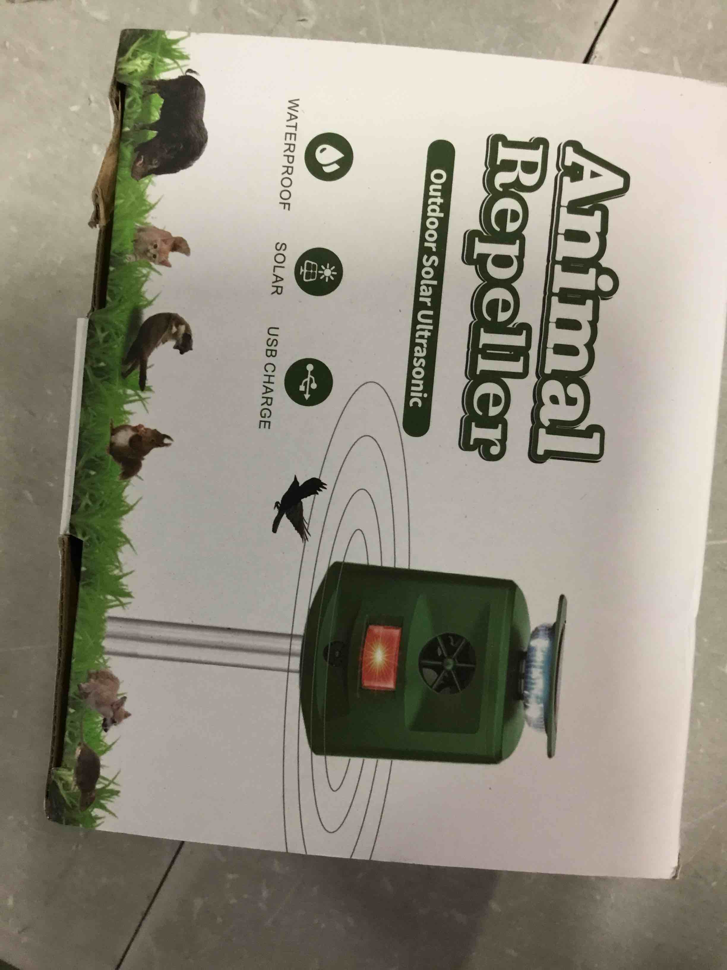 https://s3.amazonaws.com/lotting-images-prod/bidfta/BLU6732016_1720449536756.jpeg