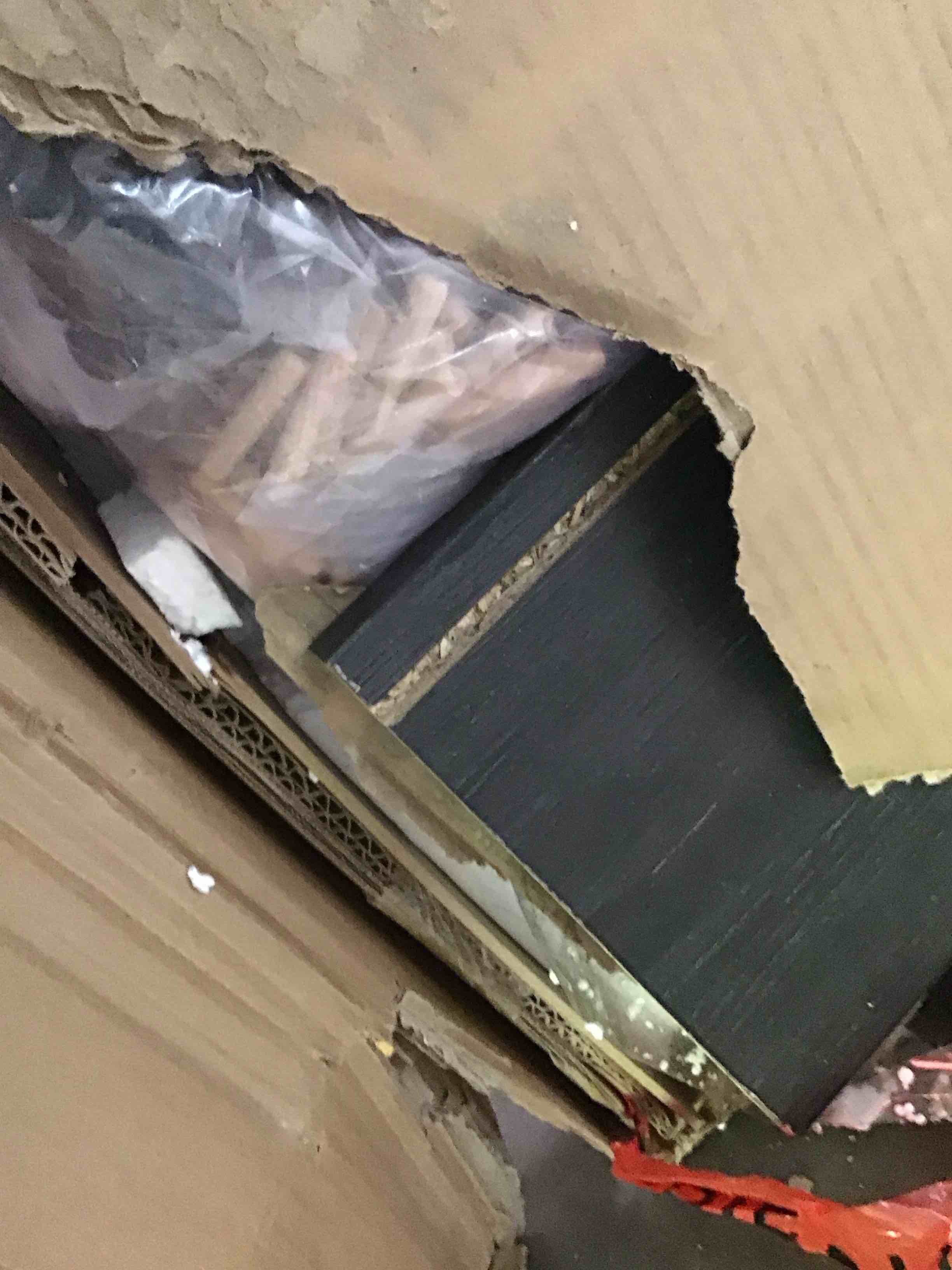 https://s3.amazonaws.com/lotting-images-prod/bidfta/BLU6743433_1724156863529.jpeg