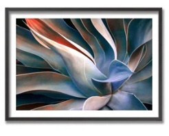The Colors in Leaves by Robin Wechsler - Picture Frame Print on Wood