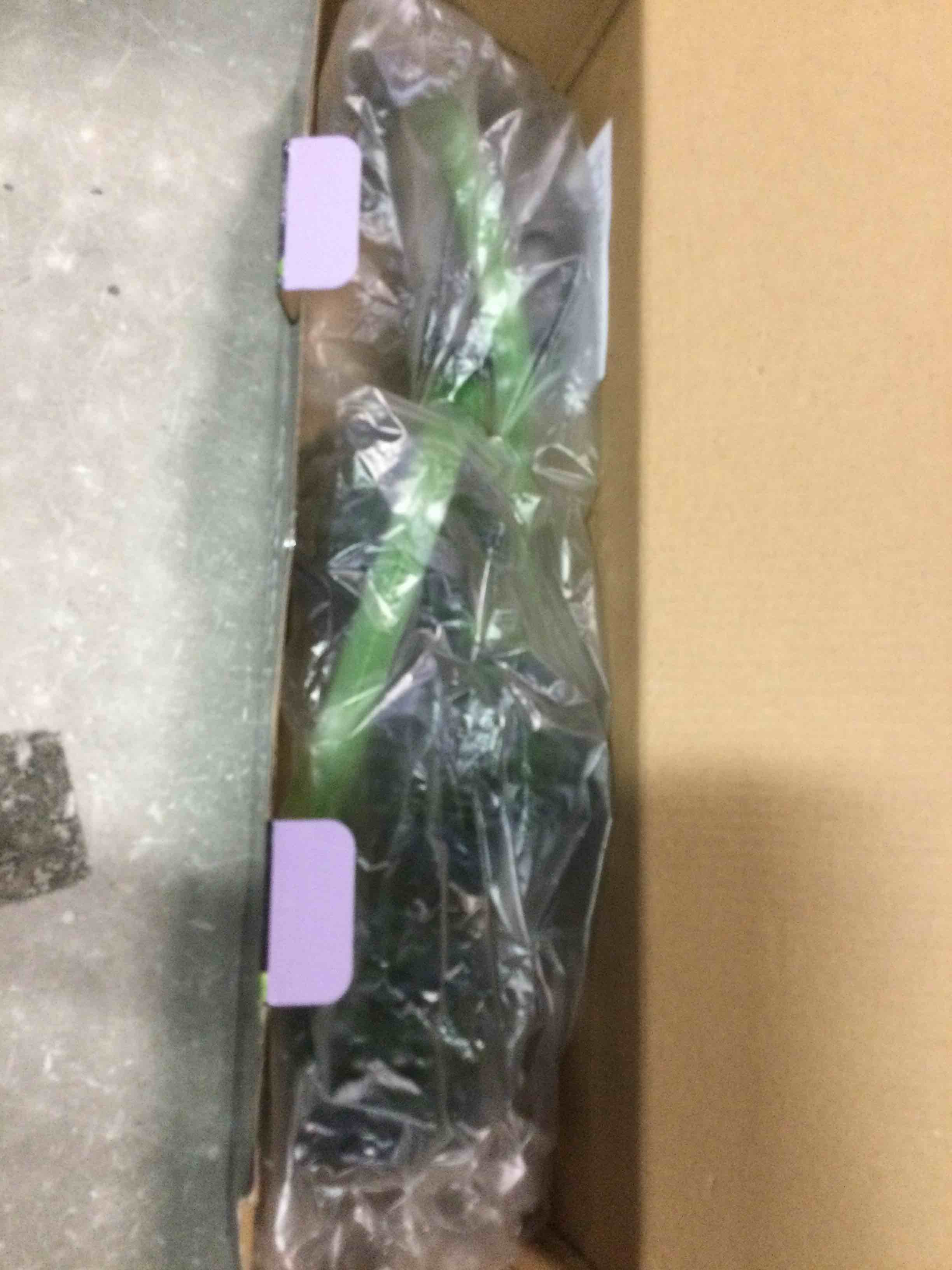 https://s3.amazonaws.com/lotting-images-prod/bidfta/BLU6760039_1720713068538.jpeg