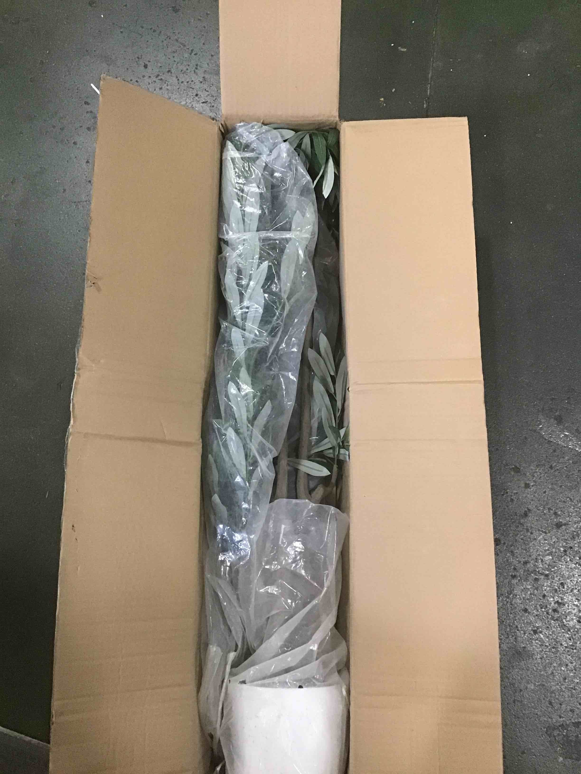 https://s3.amazonaws.com/lotting-images-prod/bidfta/BLU6780424_1723662753694.jpeg