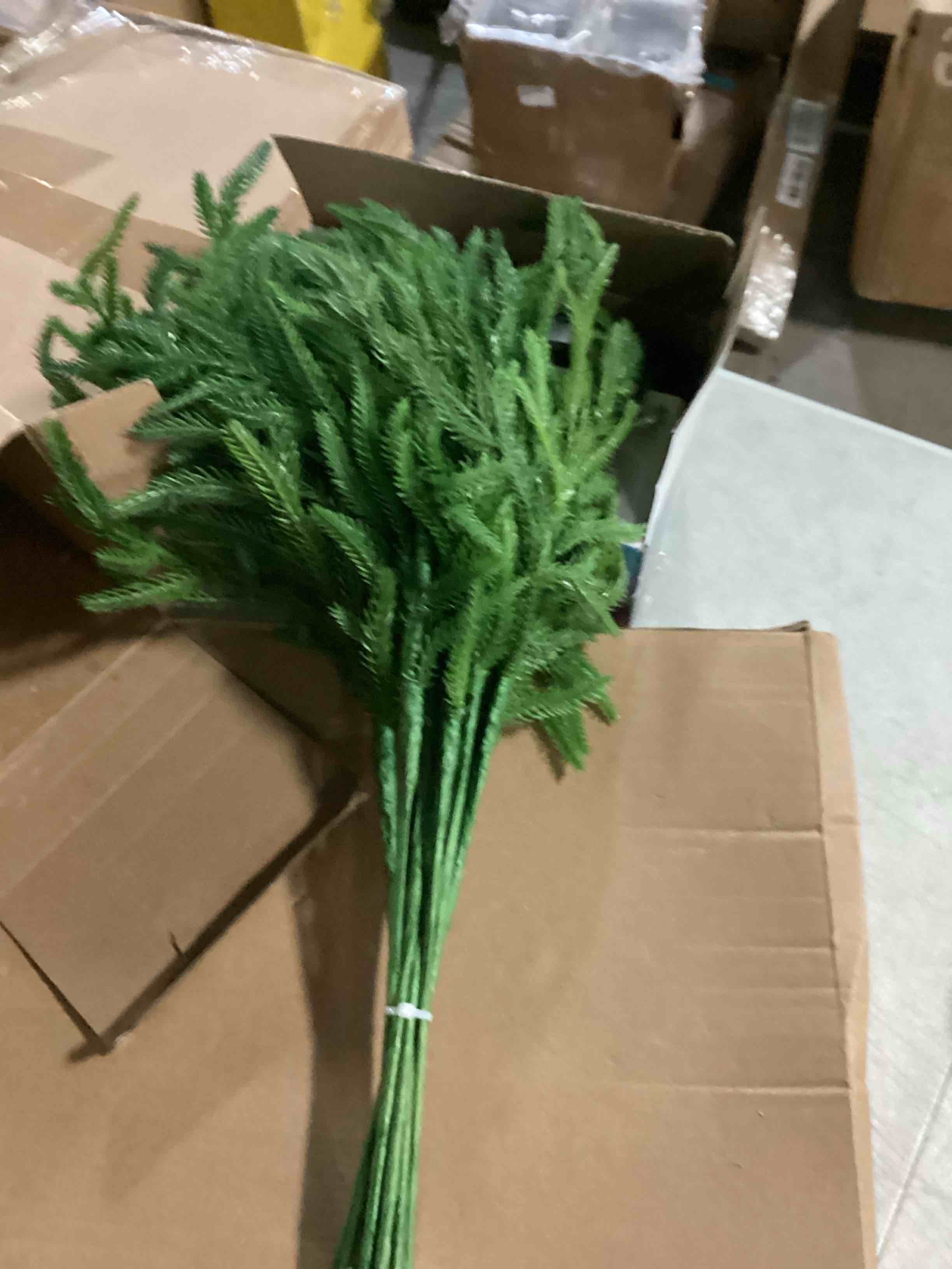 https://s3.amazonaws.com/lotting-images-prod/bidfta/BLU6802002_1733417662151.jpeg