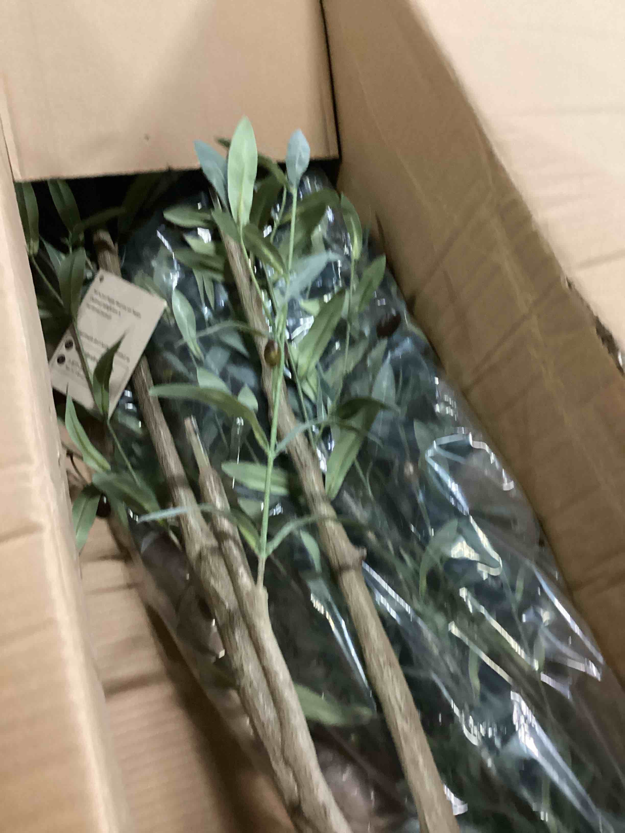 https://s3.amazonaws.com/lotting-images-prod/bidfta/BLU6806242_1732890830778.jpeg