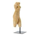 Gaddy Female Body Figure