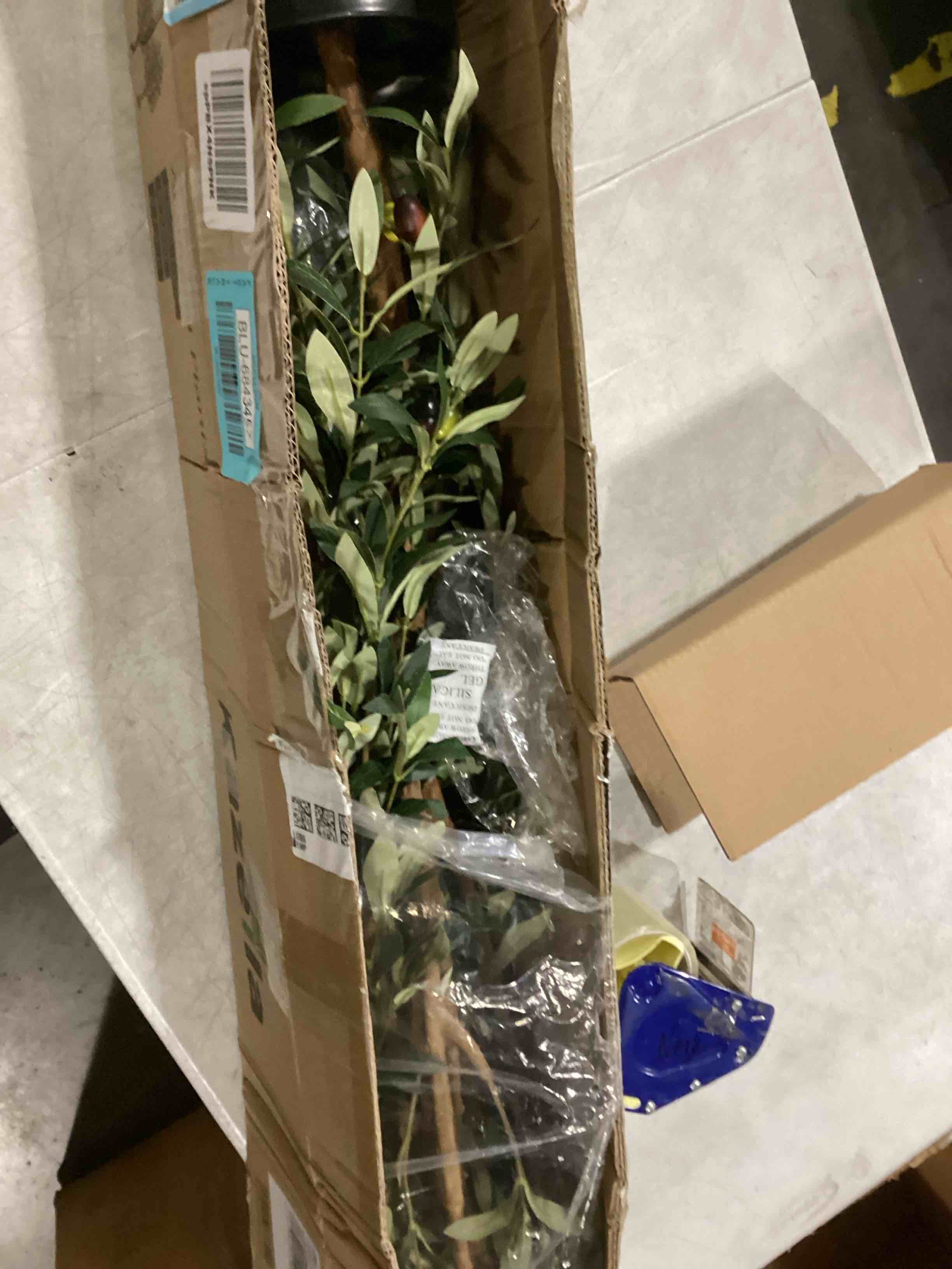 https://s3.amazonaws.com/lotting-images-prod/bidfta/BLU6843457_1728991442881.jpeg