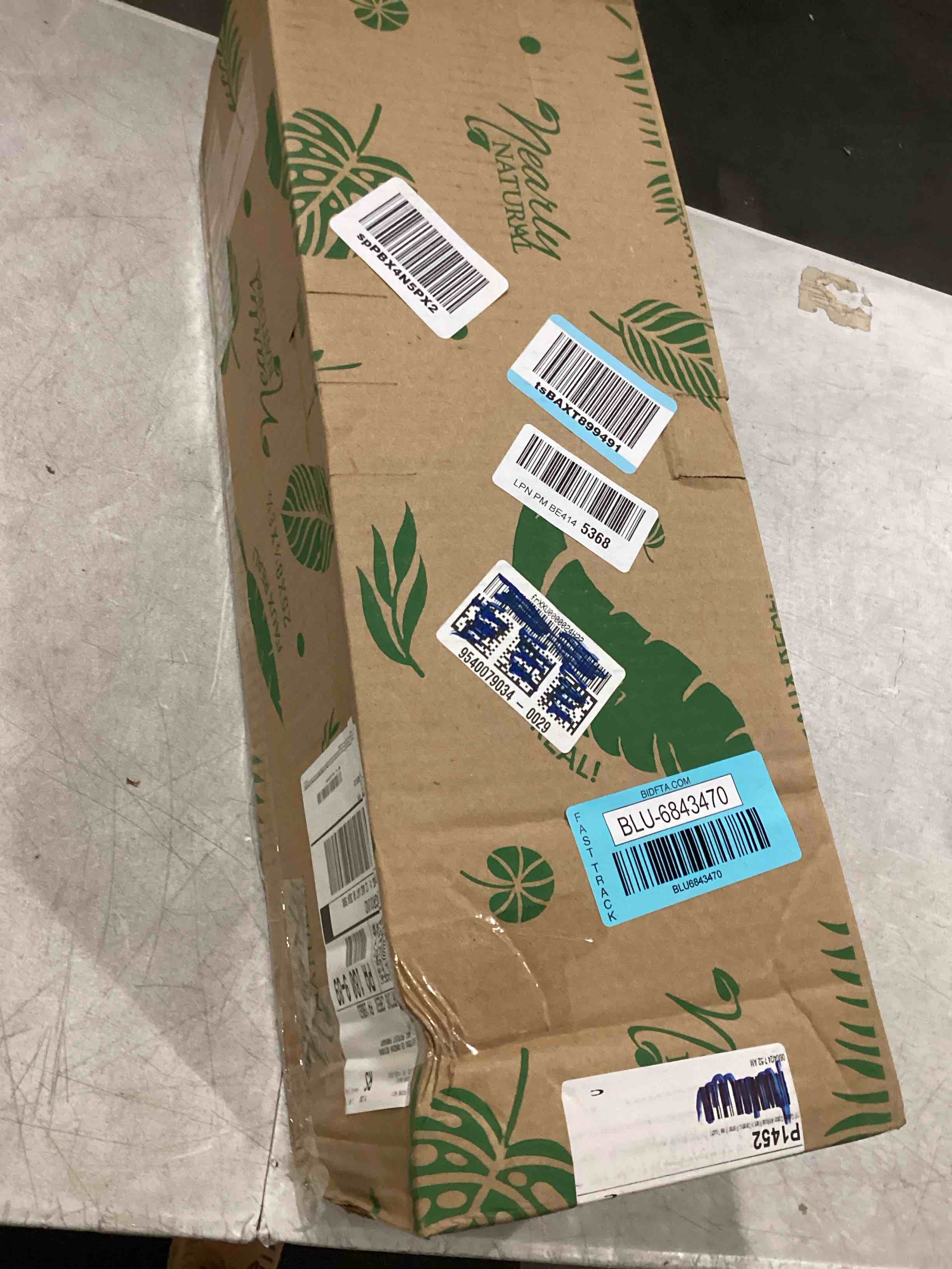 Nearly Natural 15in. Garden Croton Artificial Plant in Ceramic Planter