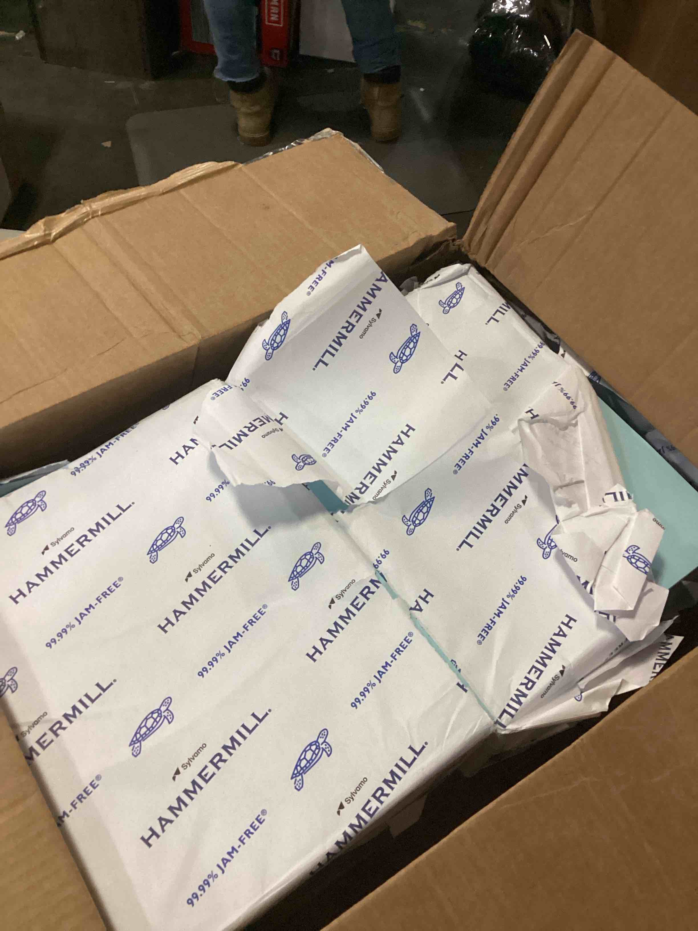 https://s3.amazonaws.com/lotting-images-prod/bidfta/BLU6845736_1729358907786.jpeg