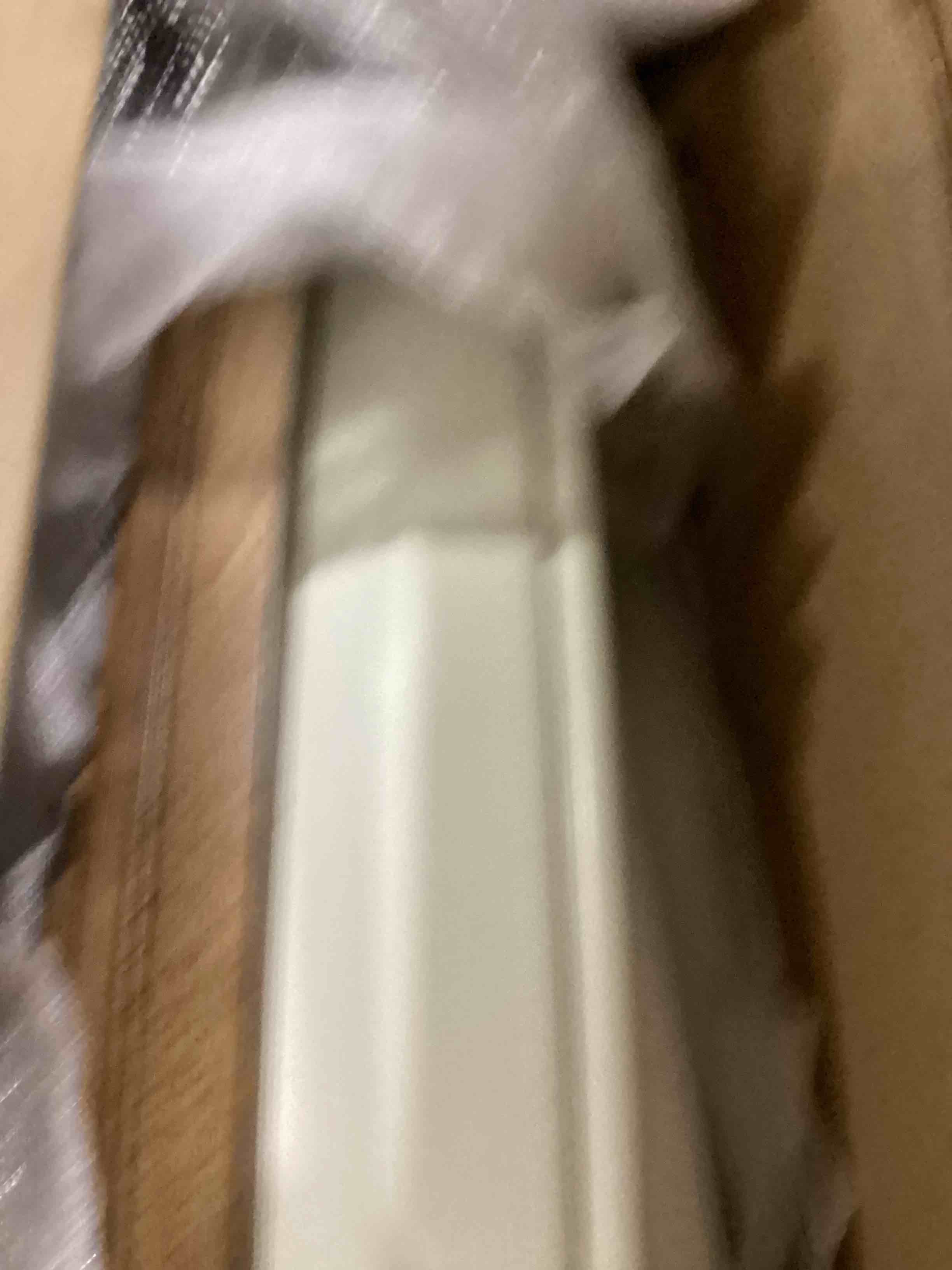 https://s3.amazonaws.com/lotting-images-prod/bidfta/BLU6846967_1728494361988.jpeg