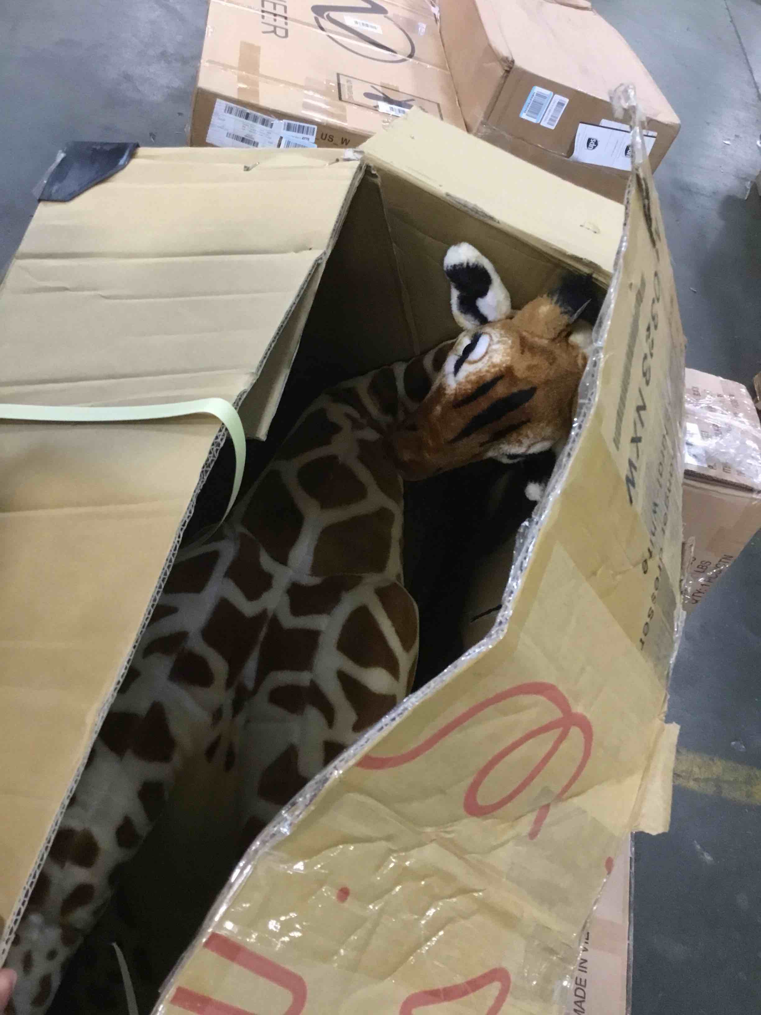https://s3.amazonaws.com/lotting-images-prod/bidfta/BLU6855351_1722902827548.jpeg