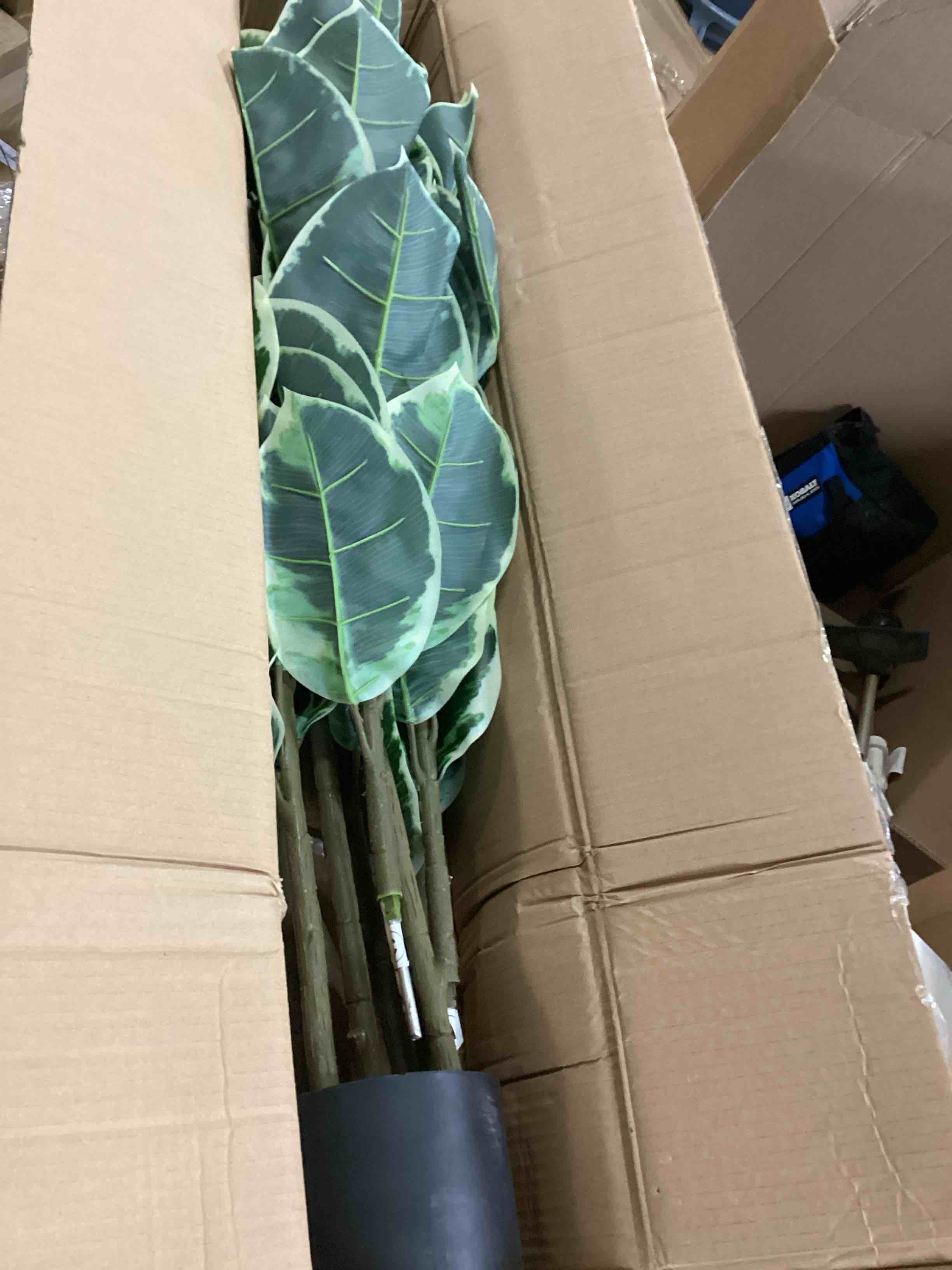 https://s3.amazonaws.com/lotting-images-prod/bidfta/BLU6861275_1732213206363.jpeg