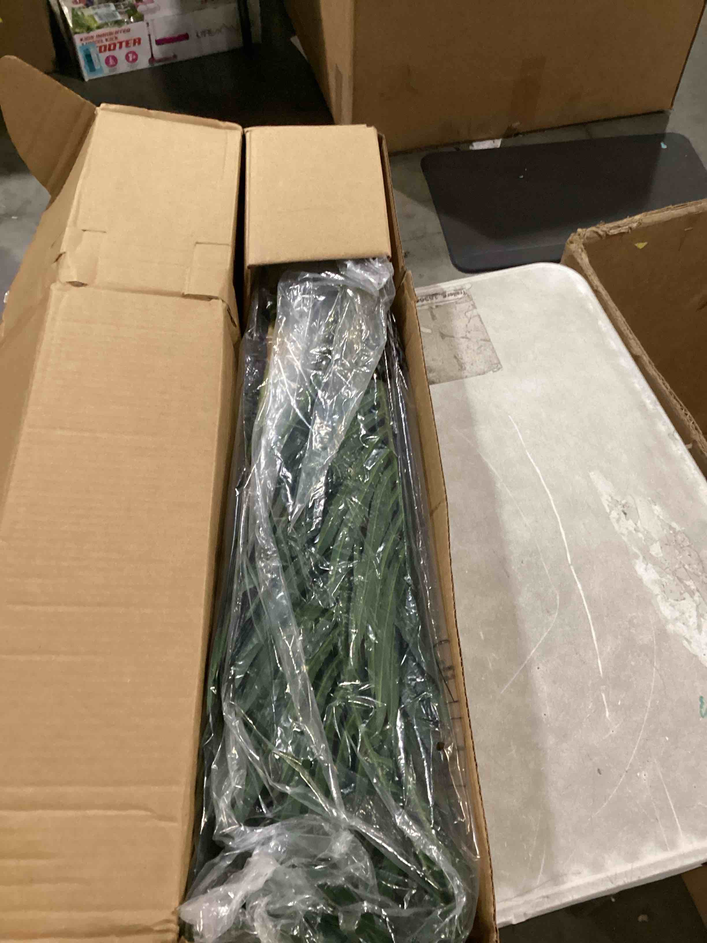 https://s3.amazonaws.com/lotting-images-prod/bidfta/BLU6865985_1730468761255.jpeg