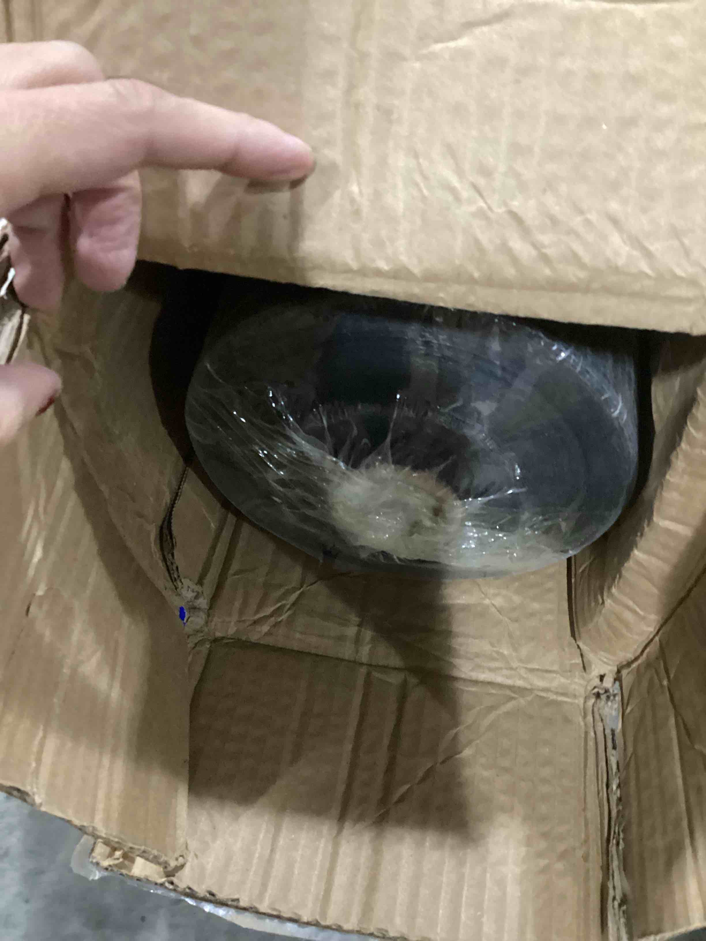 https://s3.amazonaws.com/lotting-images-prod/bidfta/BLU6869632_1730743246220.jpeg