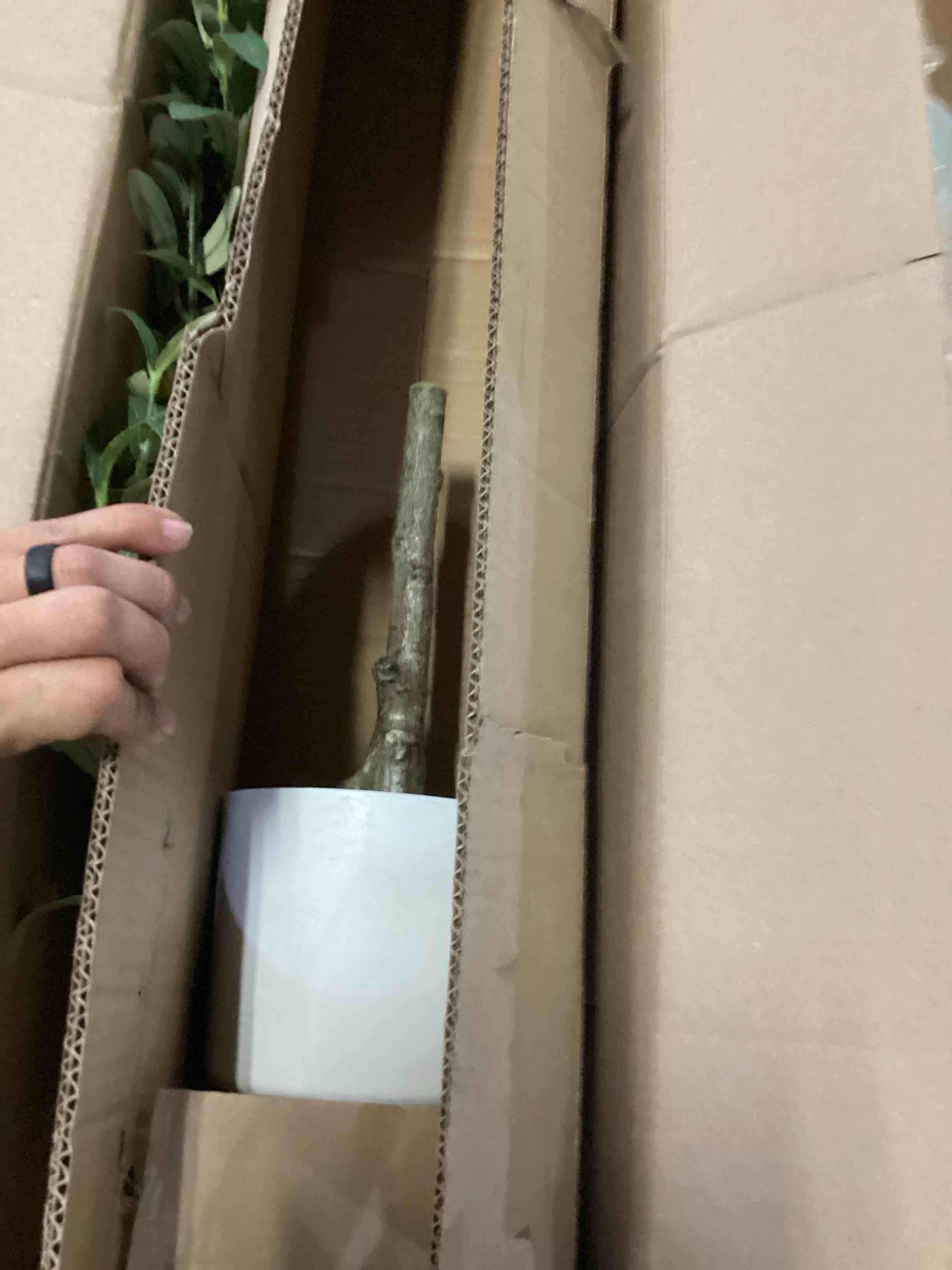 https://s3.amazonaws.com/lotting-images-prod/bidfta/BLU6870505_1730377092498.jpeg