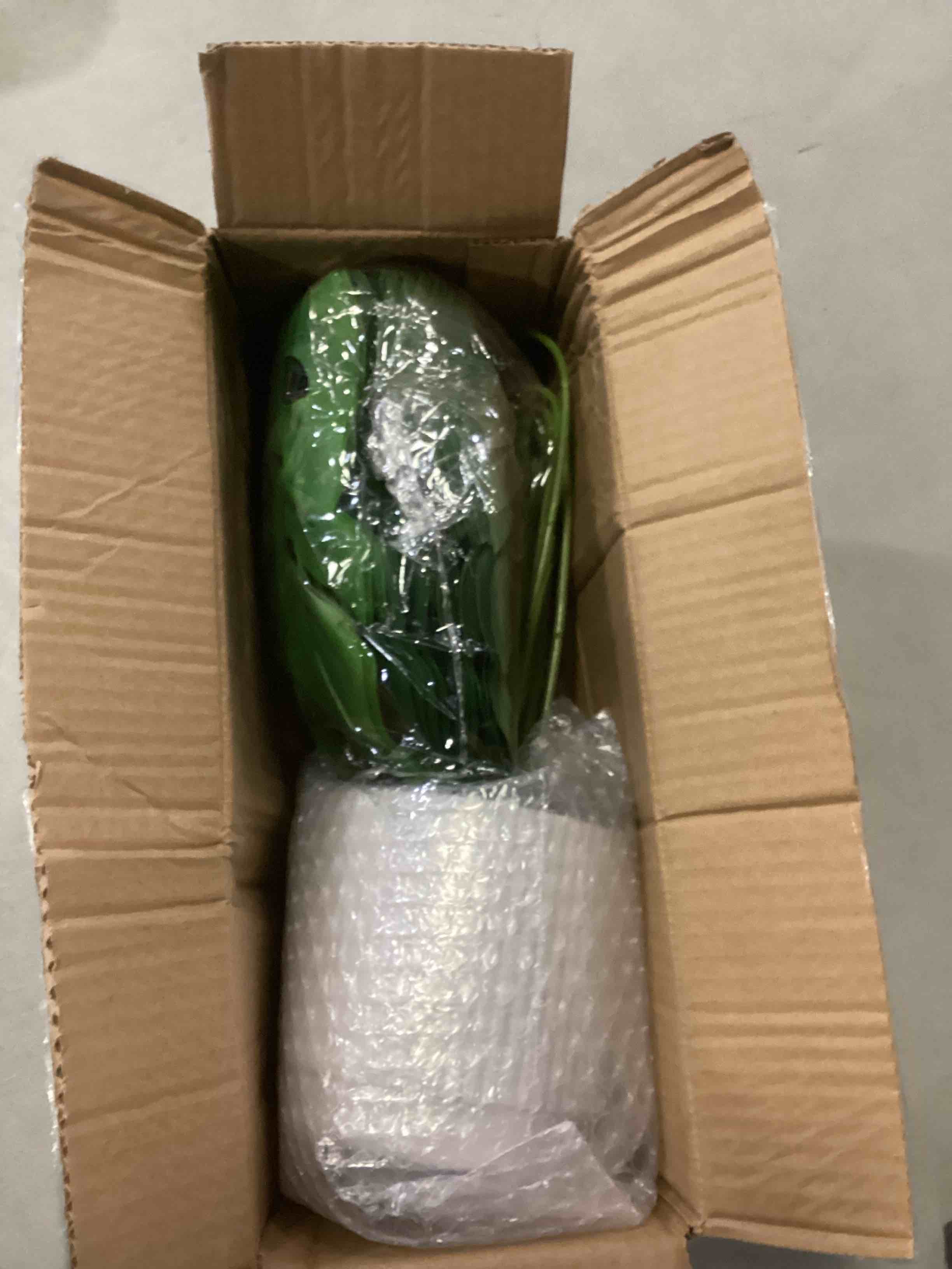 https://s3.amazonaws.com/lotting-images-prod/bidfta/BLU6870958_1730749410252.jpeg
