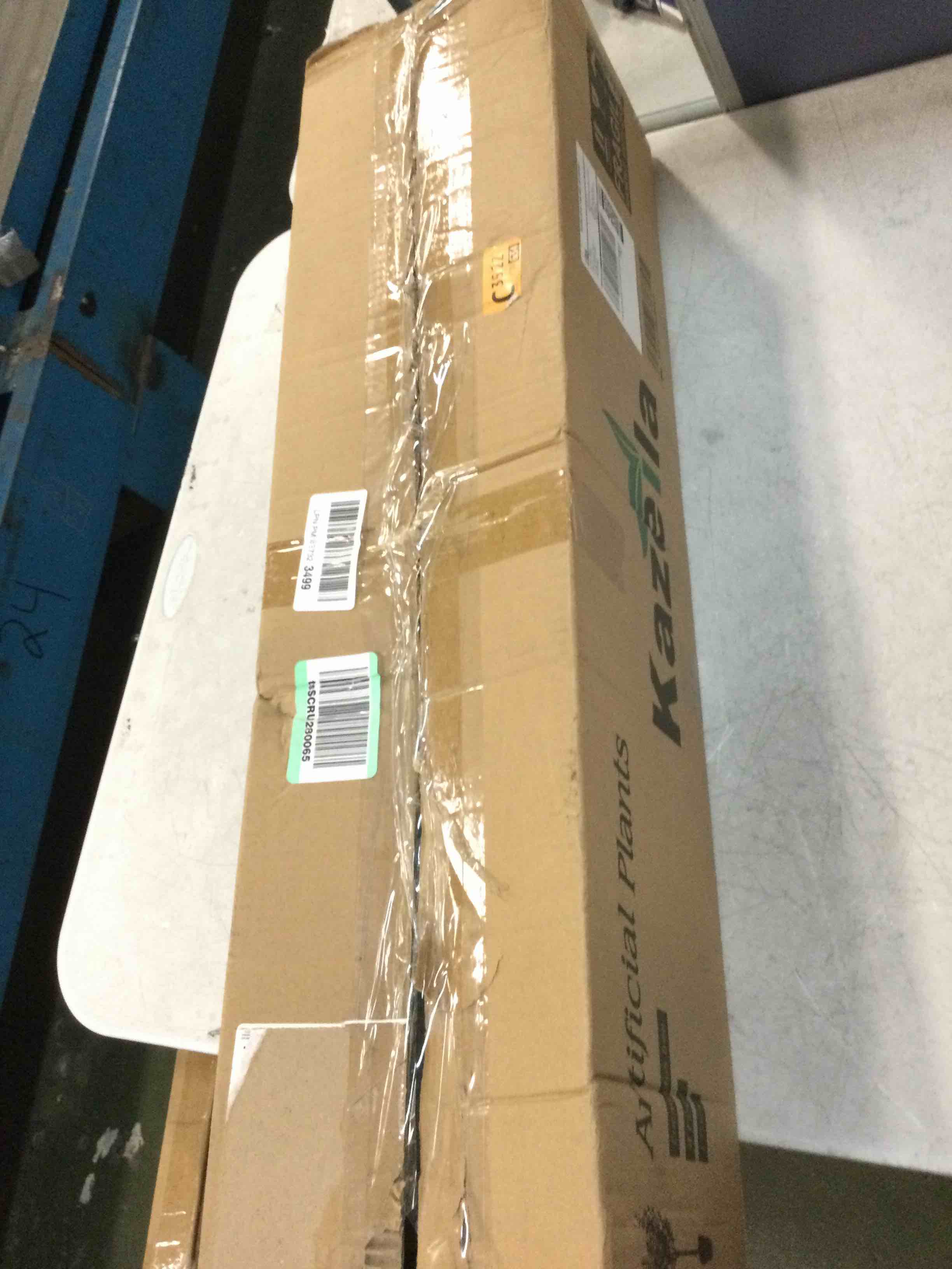 https://s3.amazonaws.com/lotting-images-prod/bidfta/BRN0038142_1724200638970.jpeg