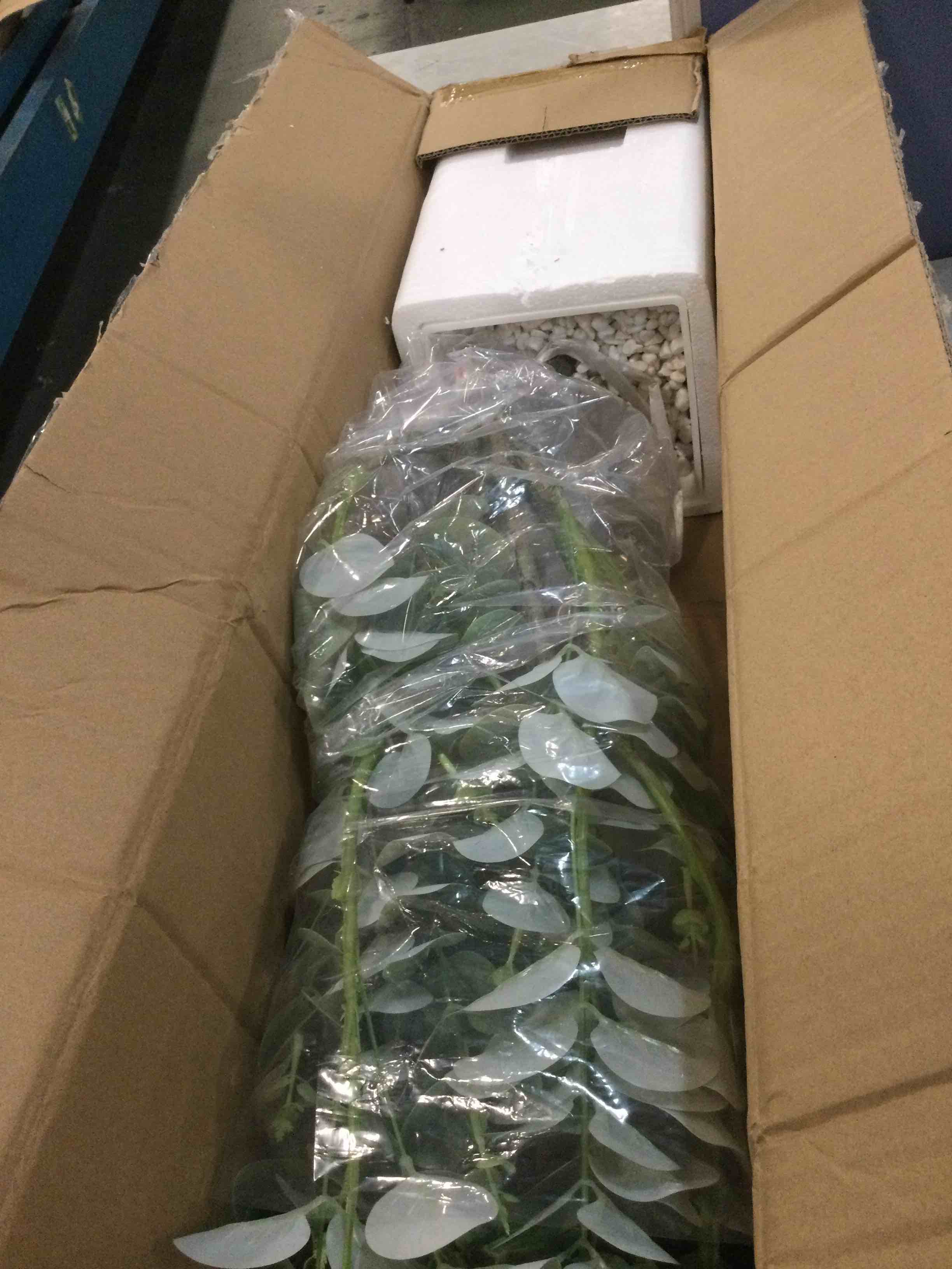 https://s3.amazonaws.com/lotting-images-prod/bidfta/BRN0038142_1724200664719.jpeg