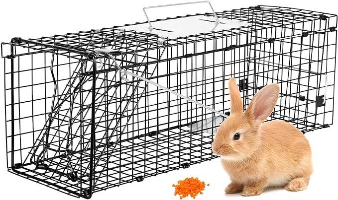 Live Animal Trap Cage, 24 X 7 X 8 Inch Catch and Release, Humane Live Trap Cage Indoor & Outdoor Foldable cat Trap for Stray Cats, Rabbits, Squirrels, Groundhogs, Woodchucks