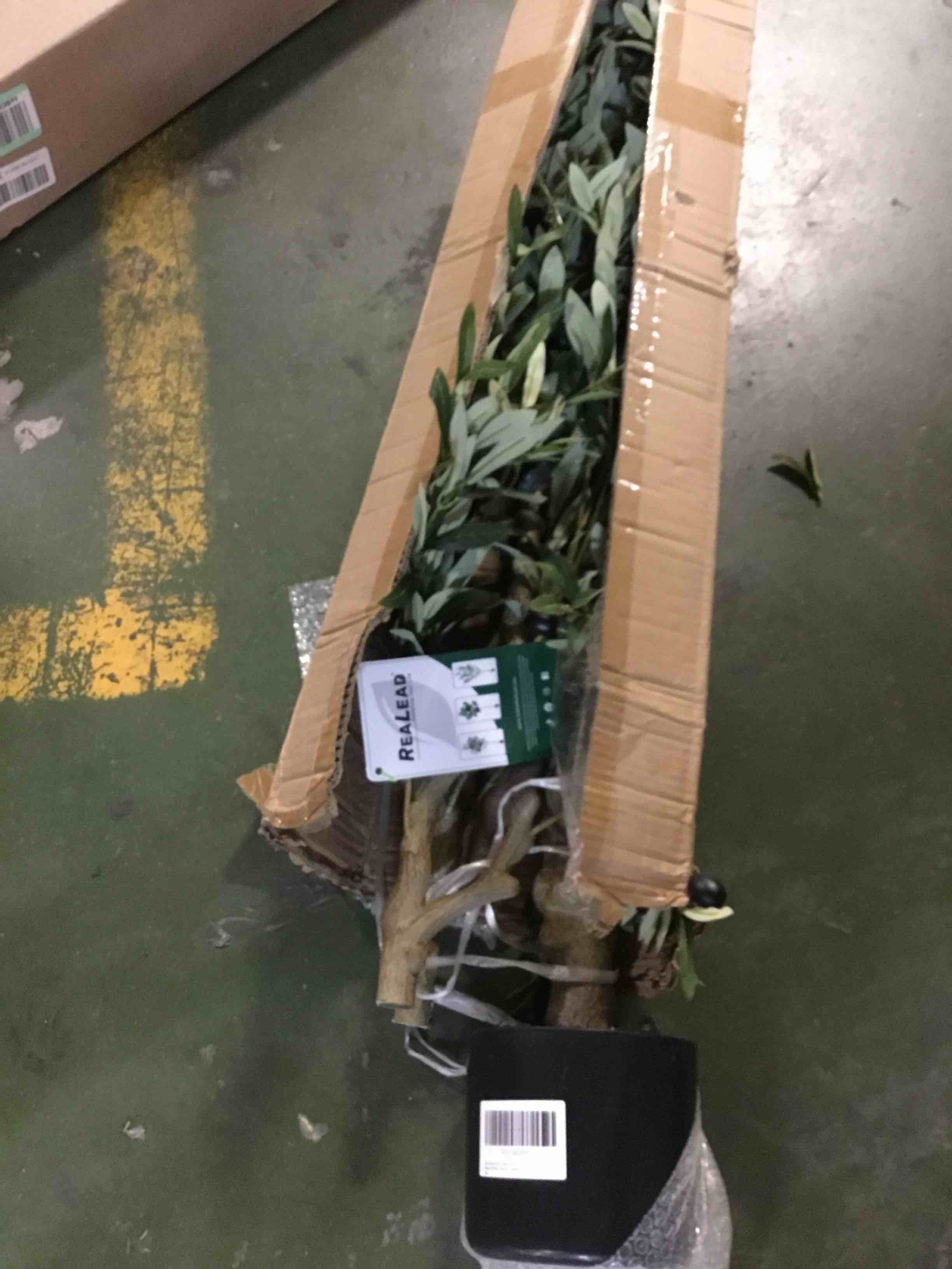 https://s3.amazonaws.com/lotting-images-prod/bidfta/BRN0062733_1724802956009.jpeg