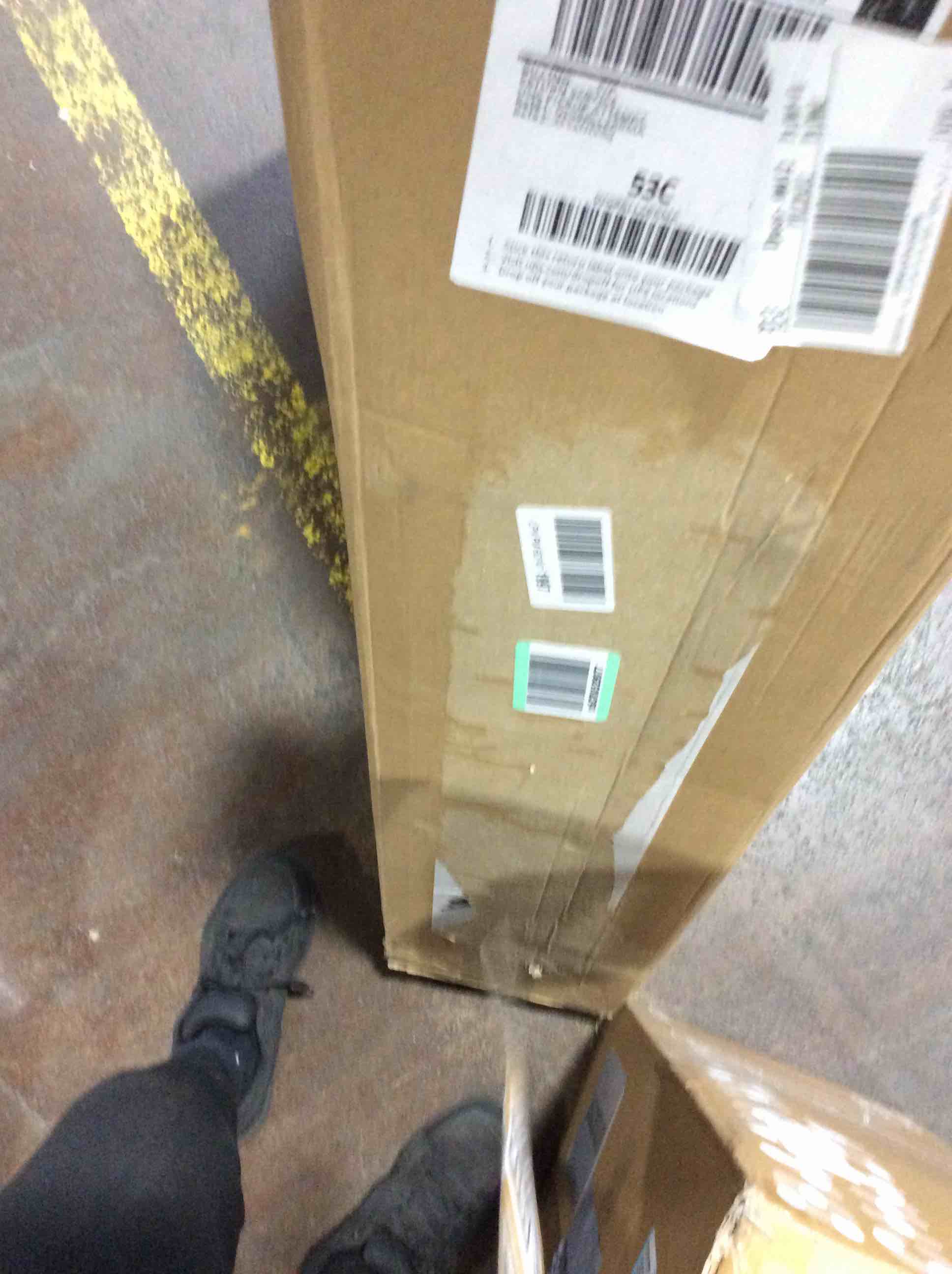 https://s3.amazonaws.com/lotting-images-prod/bidfta/BRN0095912_1729785262403.jpeg
