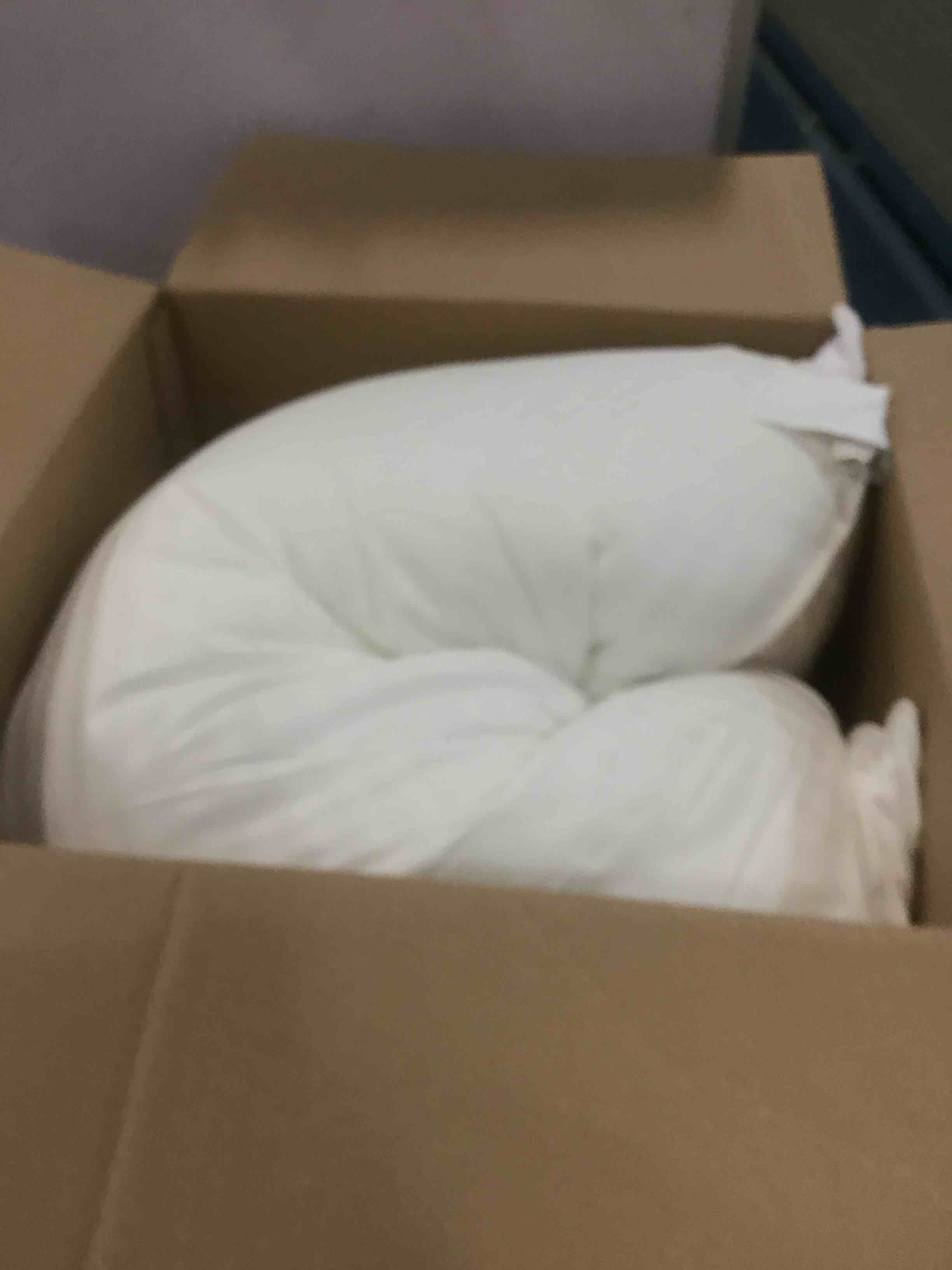 Beckham Hotel Collection Bed Pillows King Size Set of 2 Down