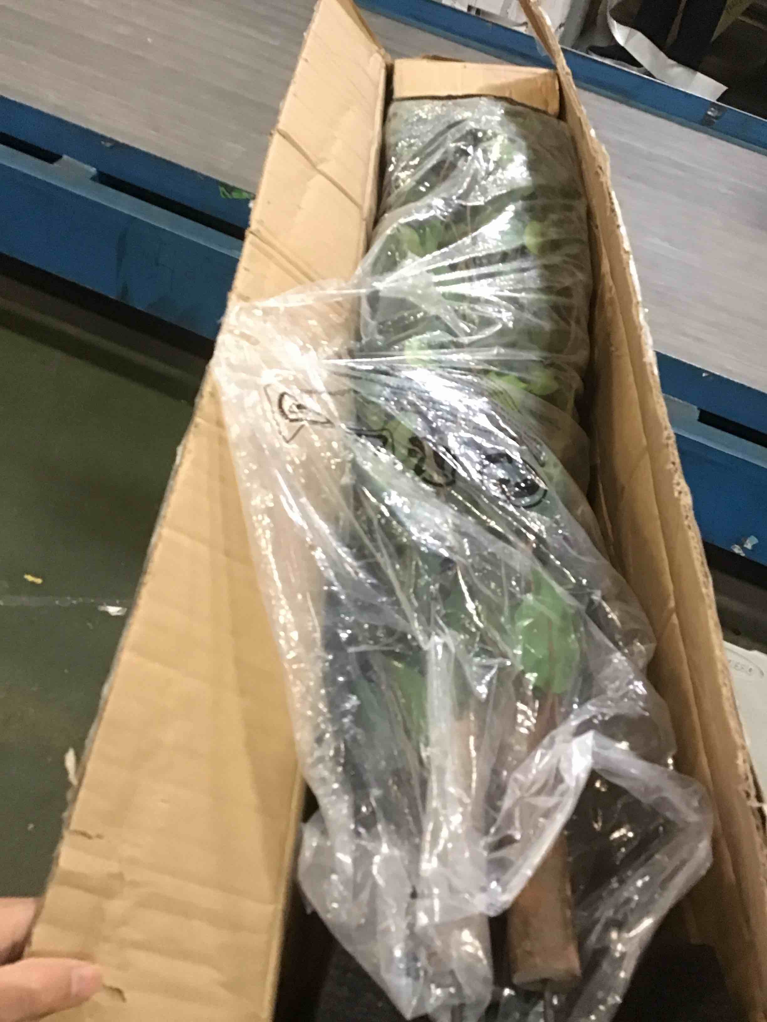 Aveyas 6ft Artificial Ficus Tree for Home Decor, 6 Feet Faux Plant Fake