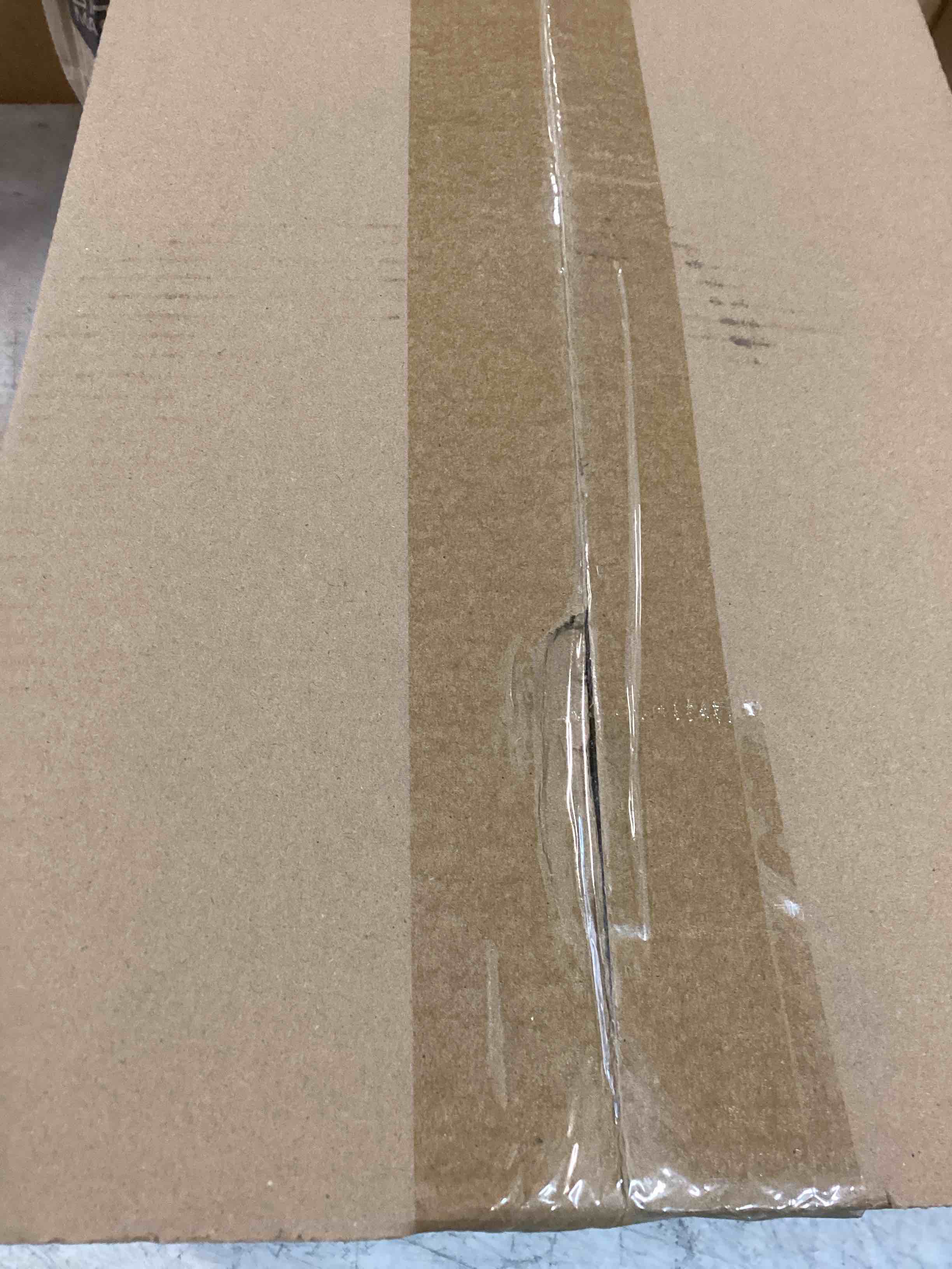 Monster Jam, Official Megalodon Storm AllTerrain Remote Control