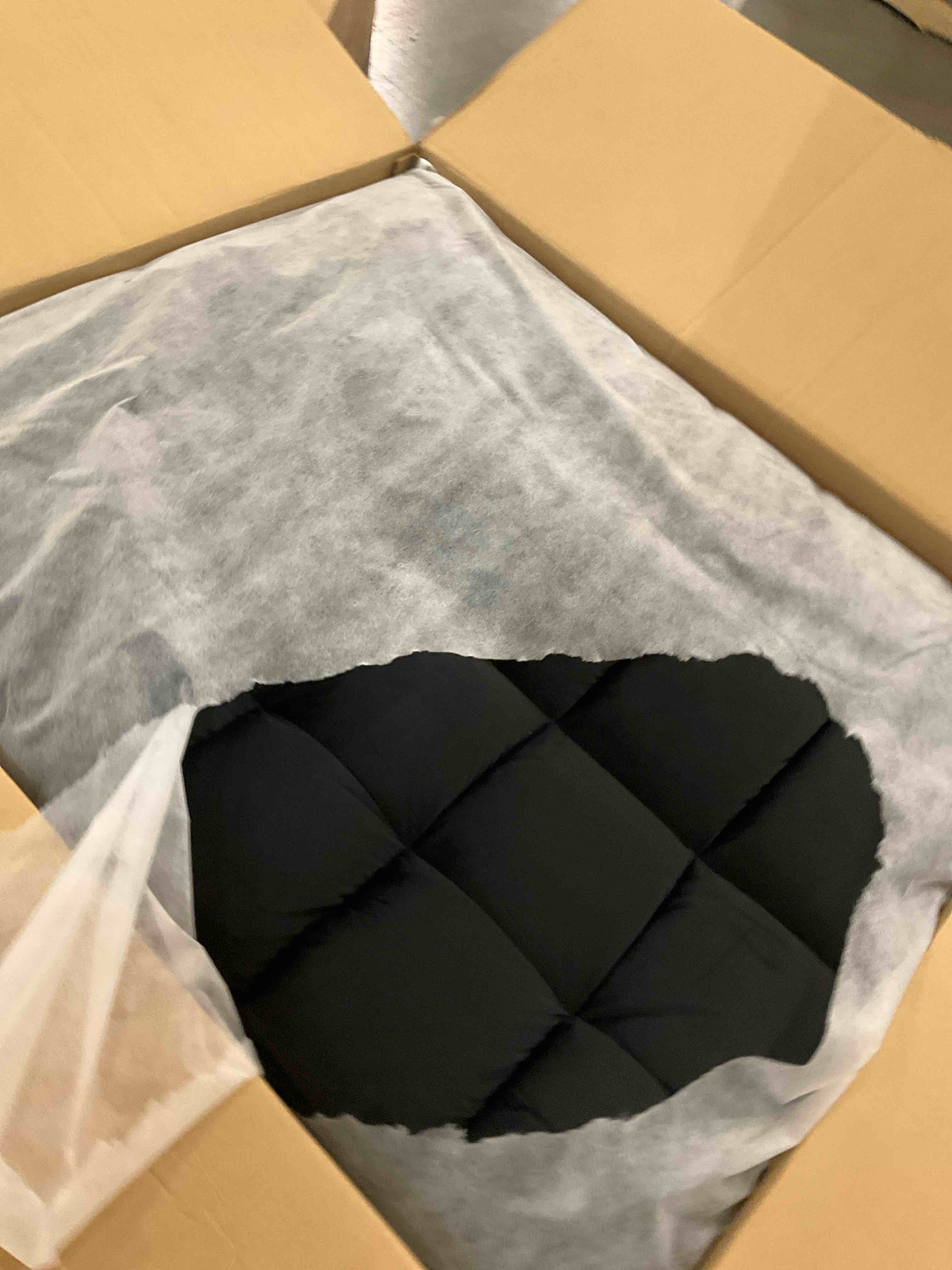https://s3.amazonaws.com/lotting-images-prod/bidfta/BRN0302599_1733515238747.jpeg