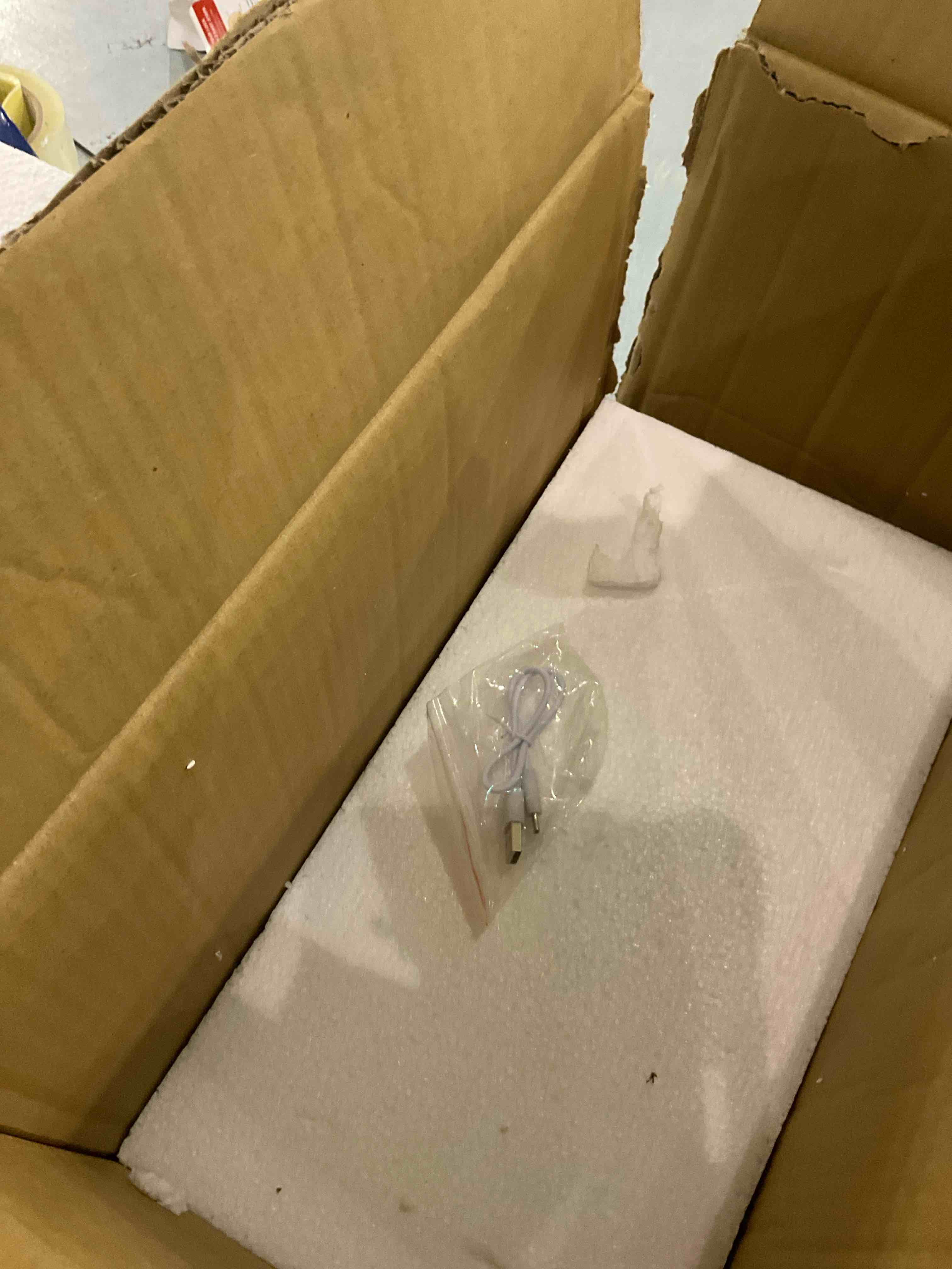 https://s3.amazonaws.com/lotting-images-prod/bidfta/BRN0311741_1736189667487.jpeg