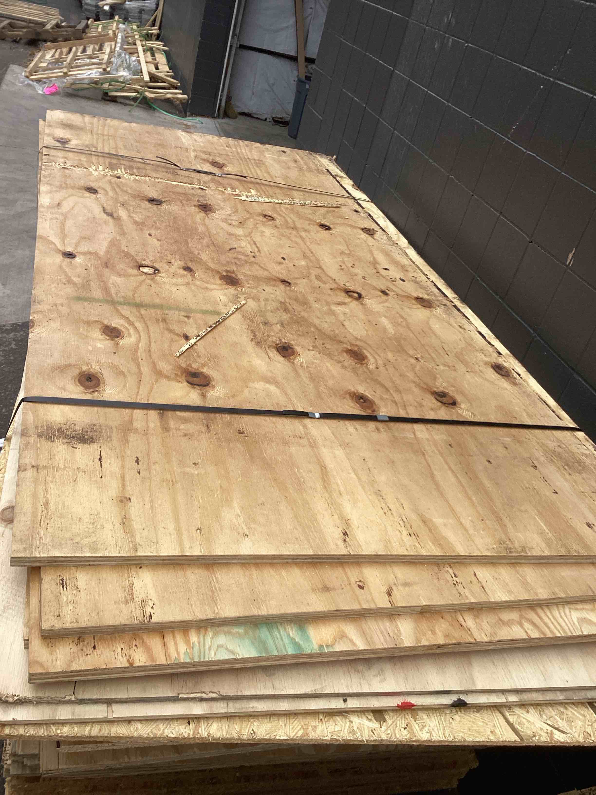 Plywood Mania