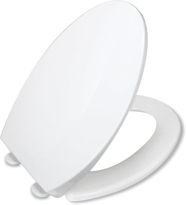 BEMIS 880SLOW 000 Toilet Seat, White