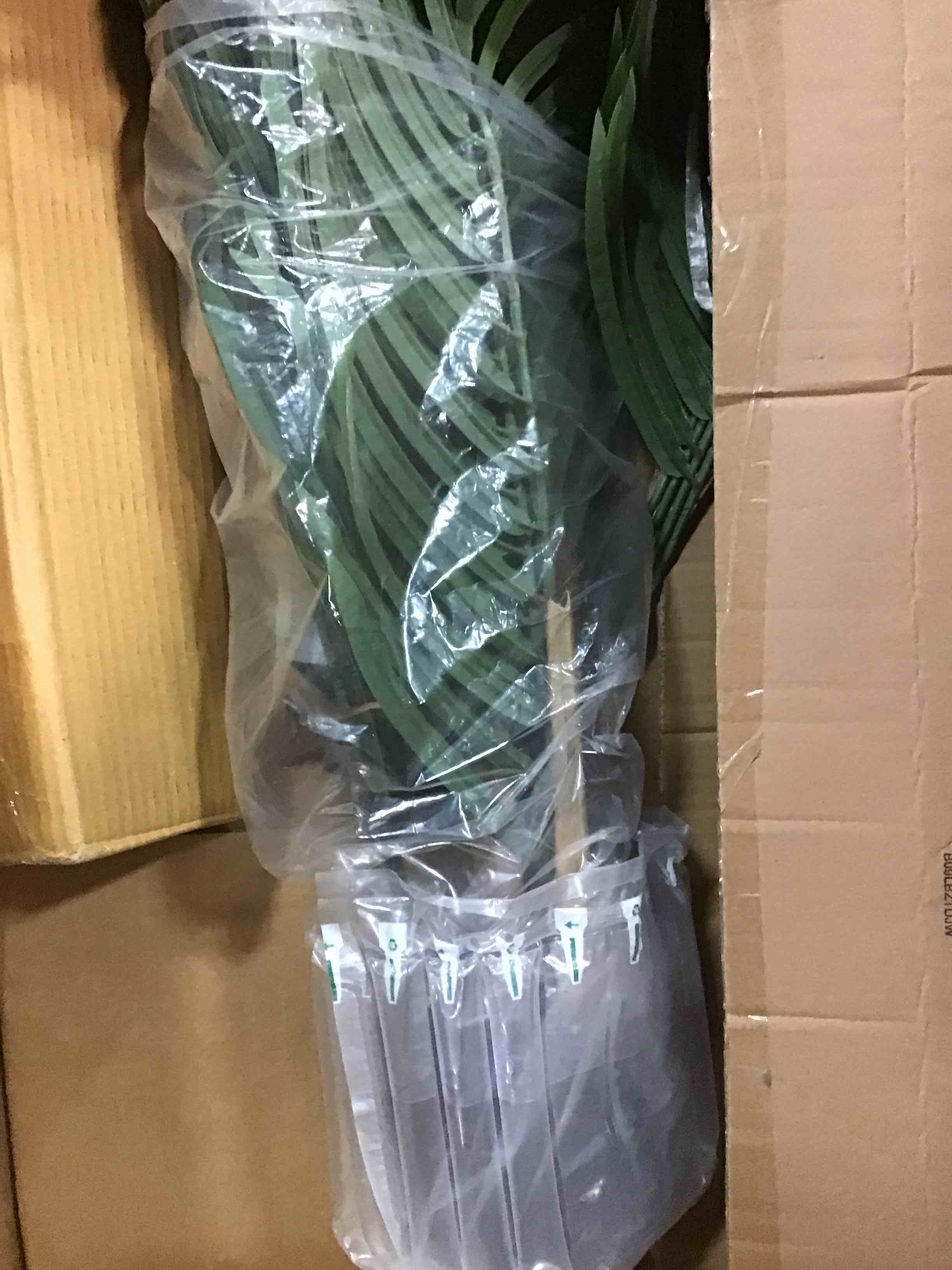 https://s3.amazonaws.com/lotting-images-prod/bidfta/BRN0409610_1729607394955.jpeg