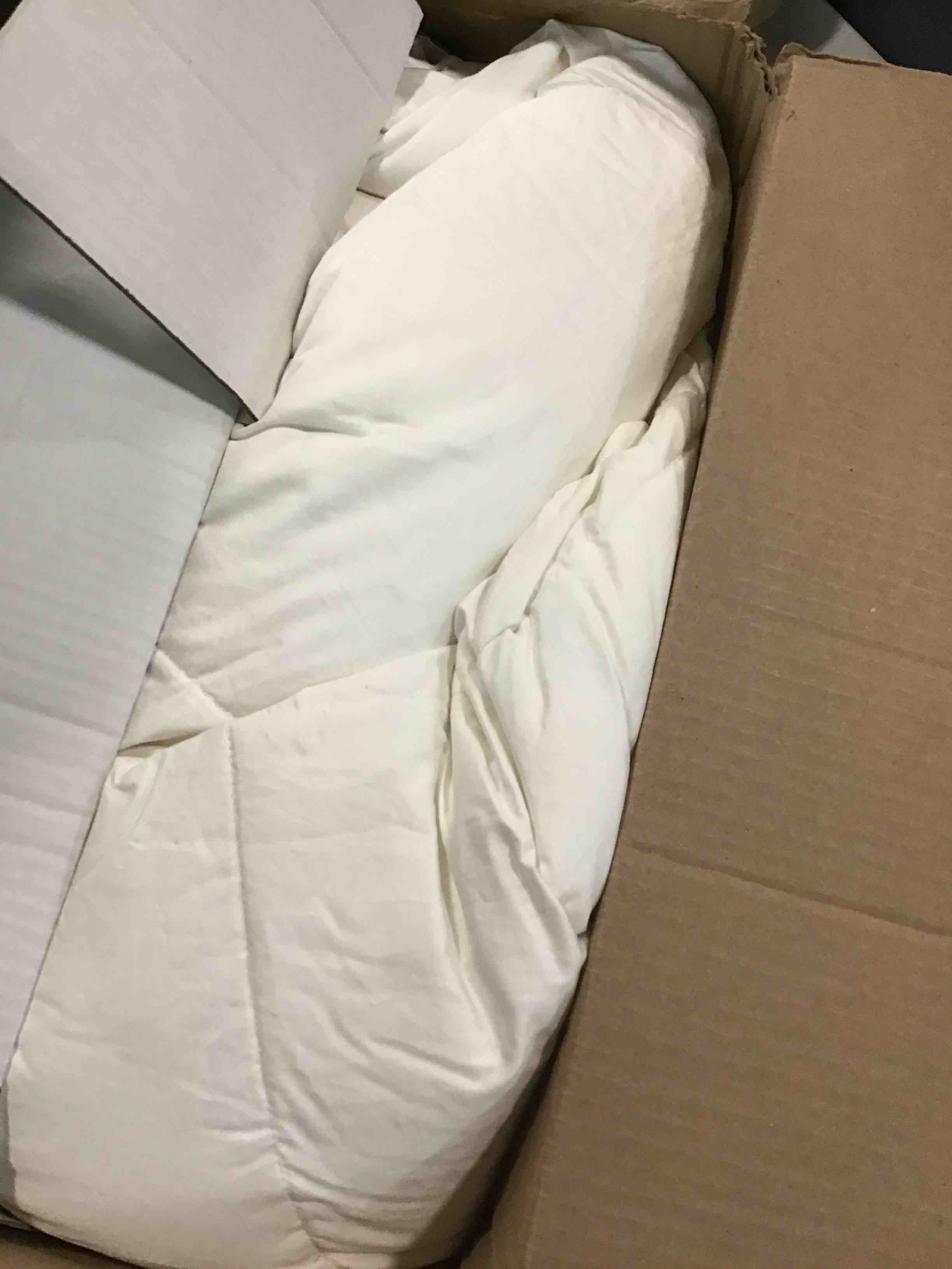 https://s3.amazonaws.com/lotting-images-prod/bidfta/BRN0417760_1729773676516.jpeg