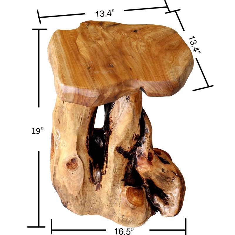 Bushraa Solid Wood Tree Stump End Table