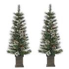 Gerson 4 ft. Pre Lit Clear UL Potted Hard Needle Loveland Spruce Set of 2