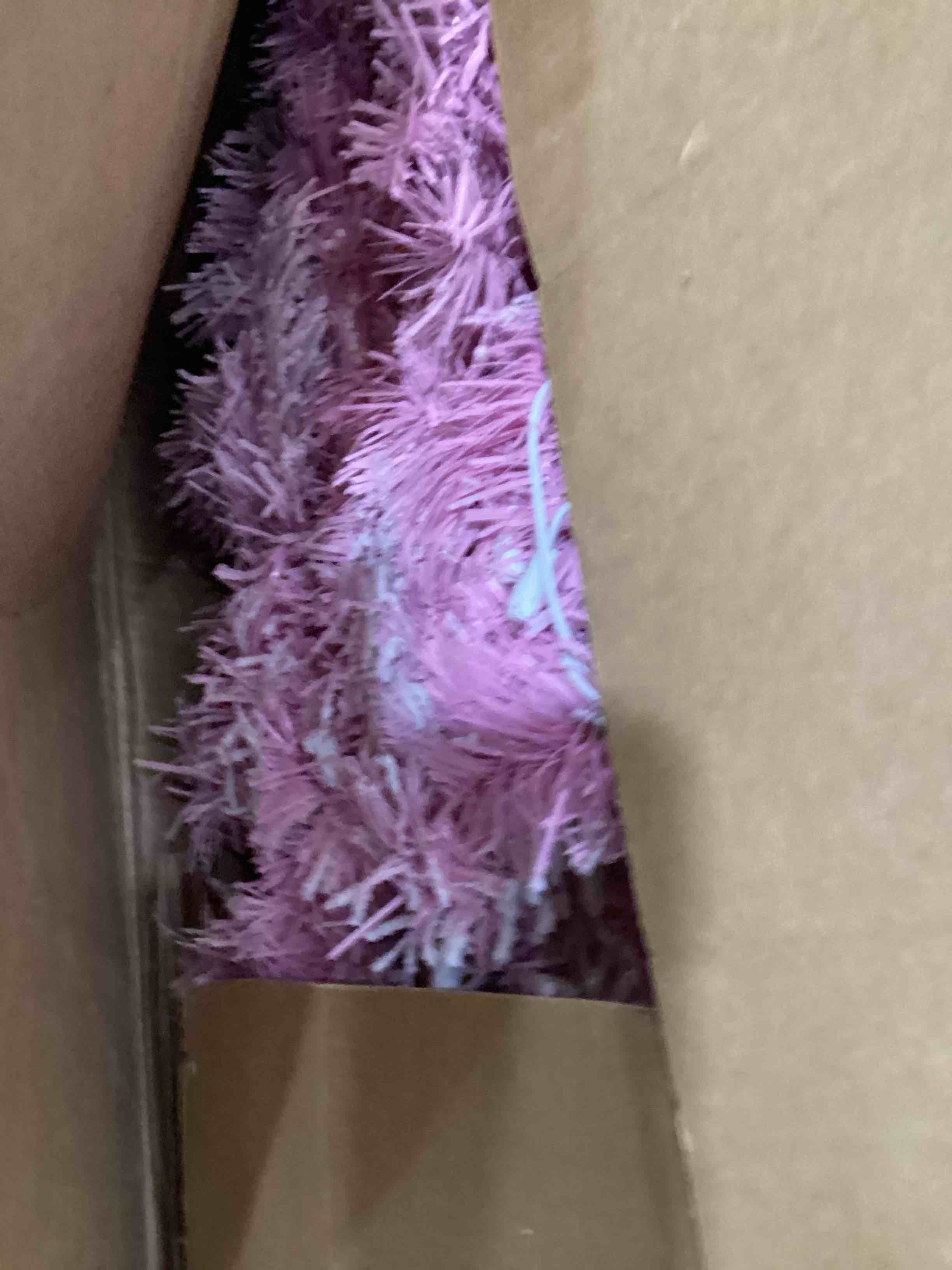 https://s3.amazonaws.com/lotting-images-prod/bidfta/BRN0449409_1736446621140.jpeg