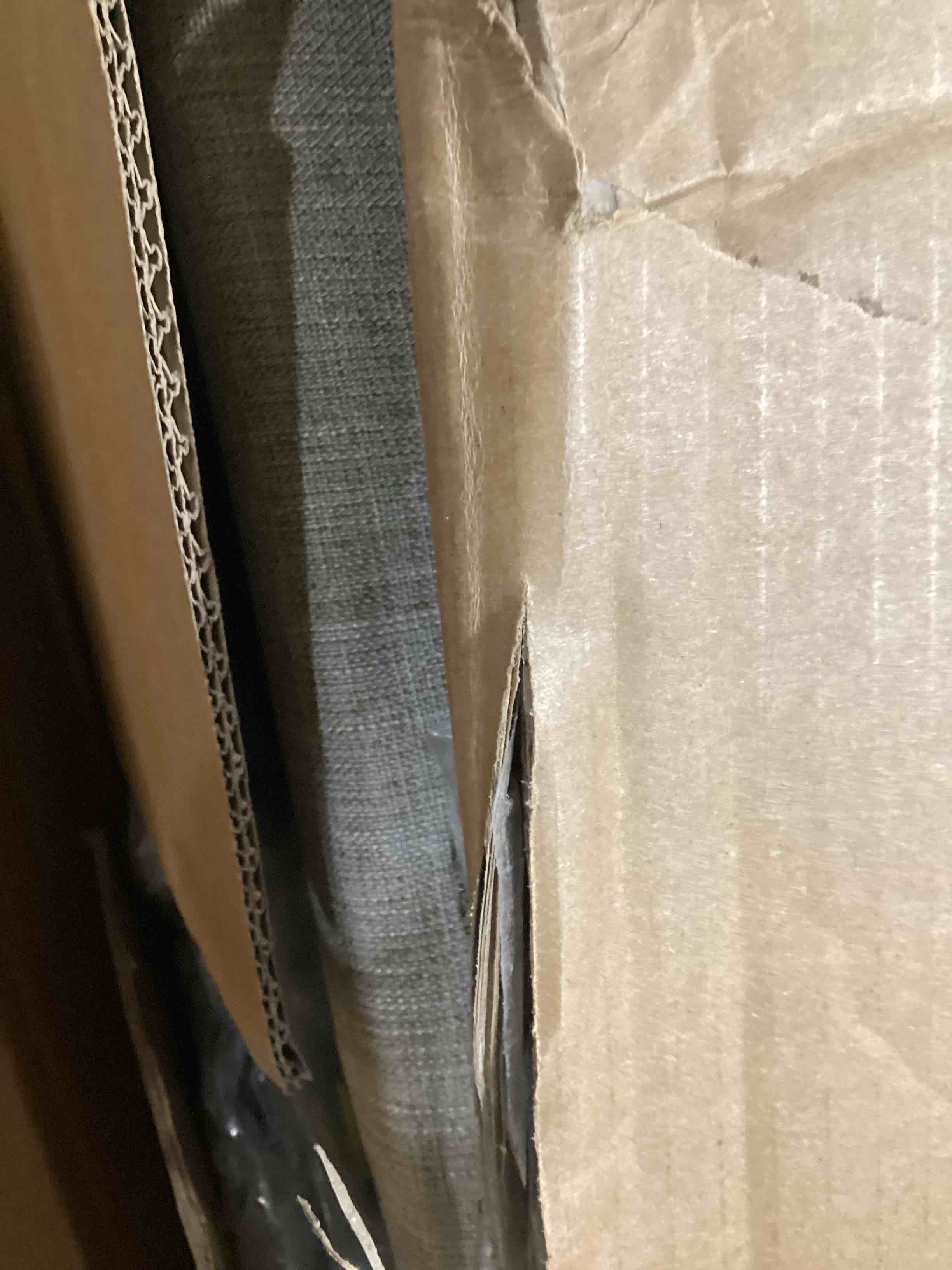 https://s3.amazonaws.com/lotting-images-prod/bidfta/BRN0449478_1736370178250.jpeg