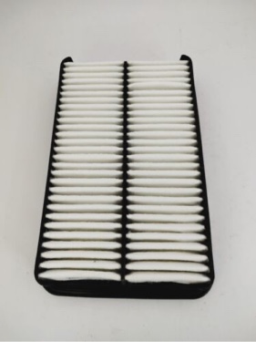 Champion Filter CAP5466 Cabin Air Filter,