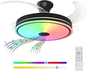 Enclosed Ceiling Fan with Light, Low Profile Ceiling Fan Light with Speaker, App Control for Dimming & RGB Color Change (Black 42in)