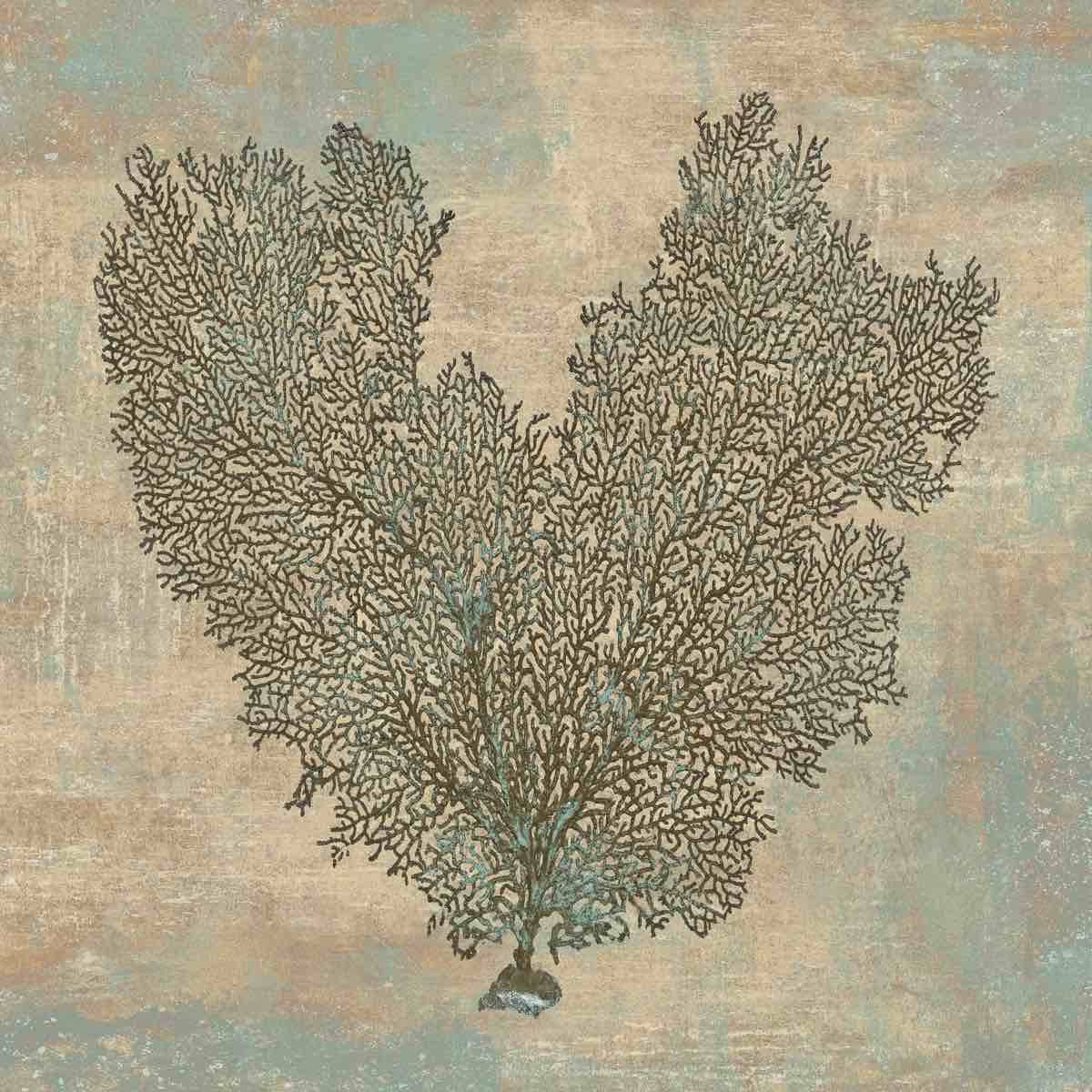 " Aqua Fan Coral " By Highland Dunes 30" H x 30" W