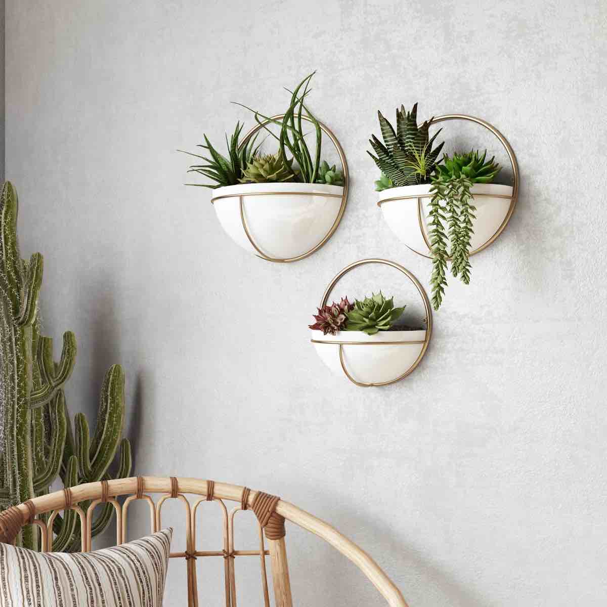 Isley Round Metal Modern Indoor Wall Planter Set