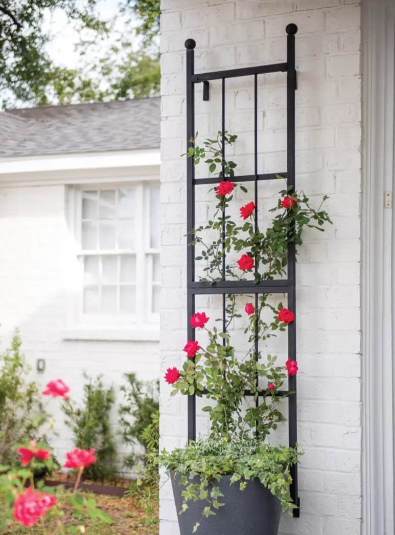 Essex Wall Trellis