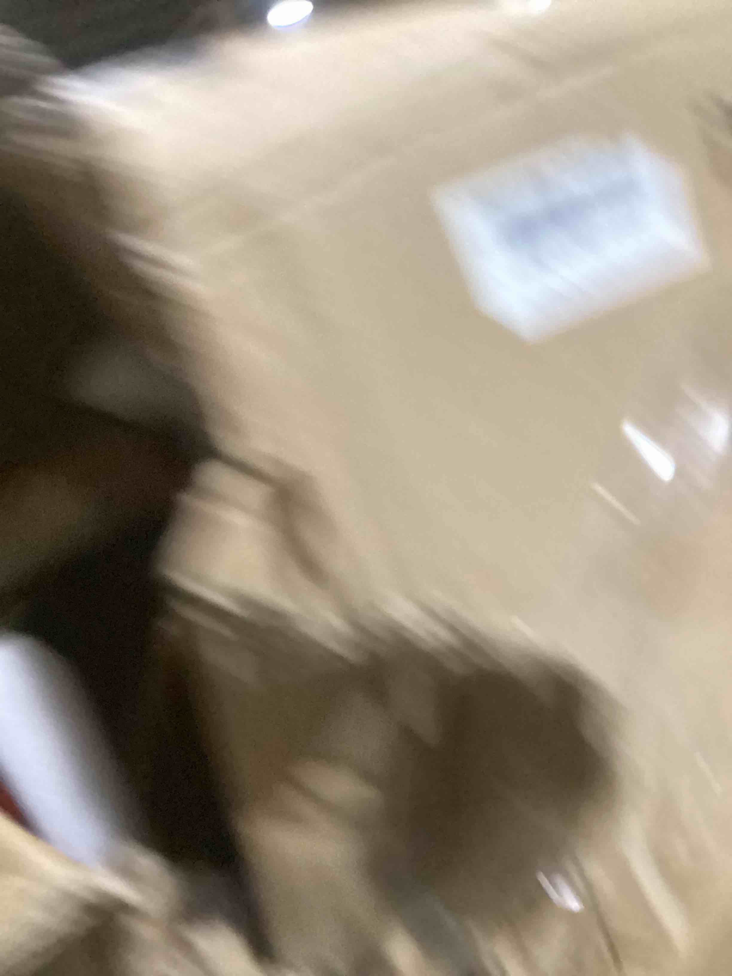 https://s3.amazonaws.com/lotting-images-prod/bidfta/BRN1357403_1744630365384.jpeg