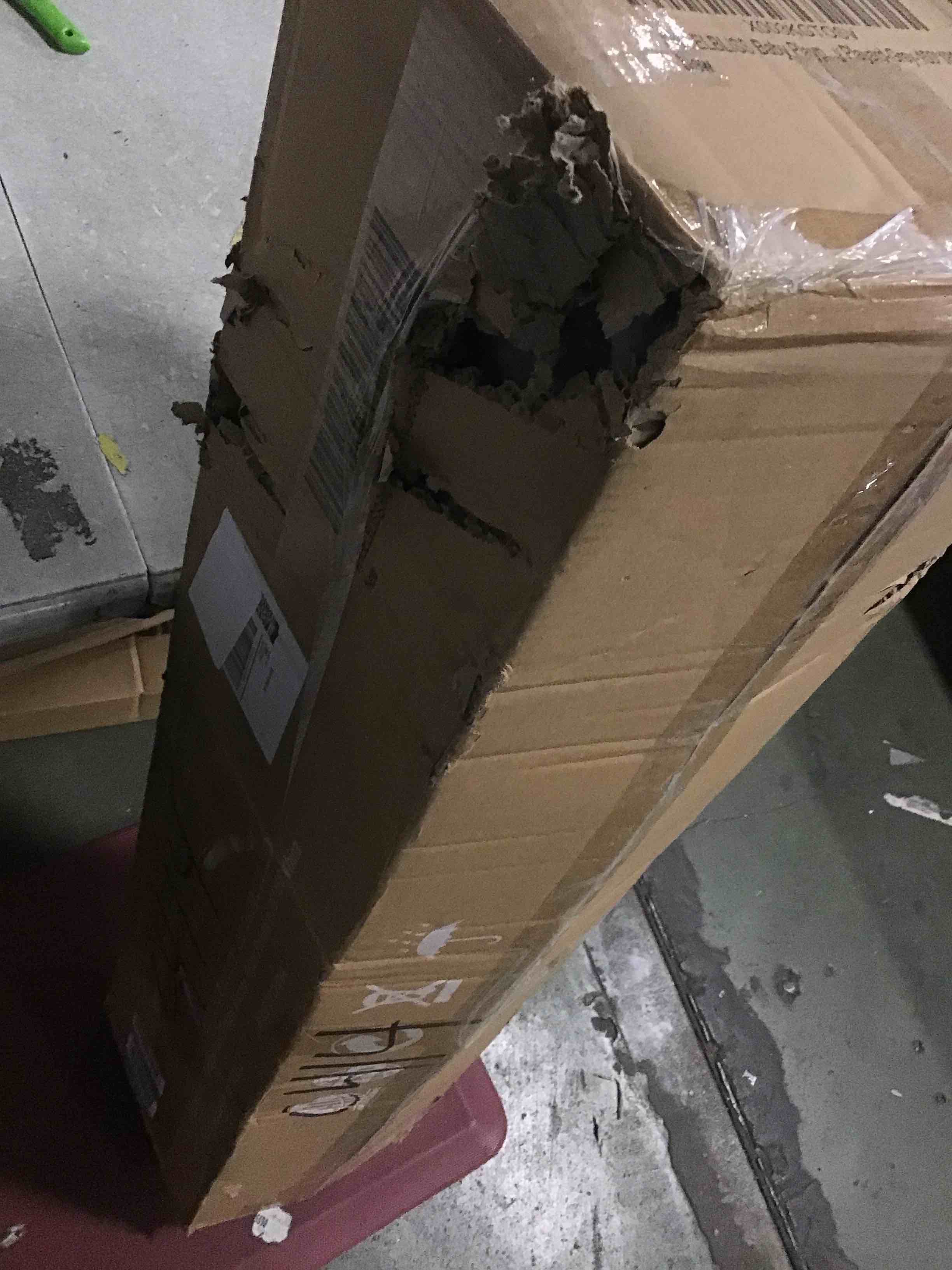 https://s3.amazonaws.com/lotting-images-prod/bidfta/BRN1417810_1737724846505.jpeg