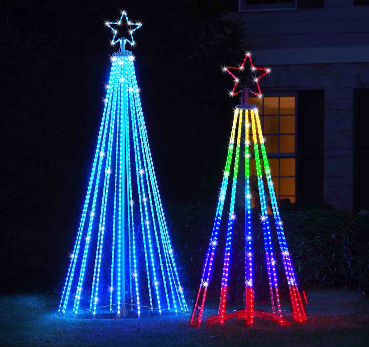 The Choreographed Light Show Tree