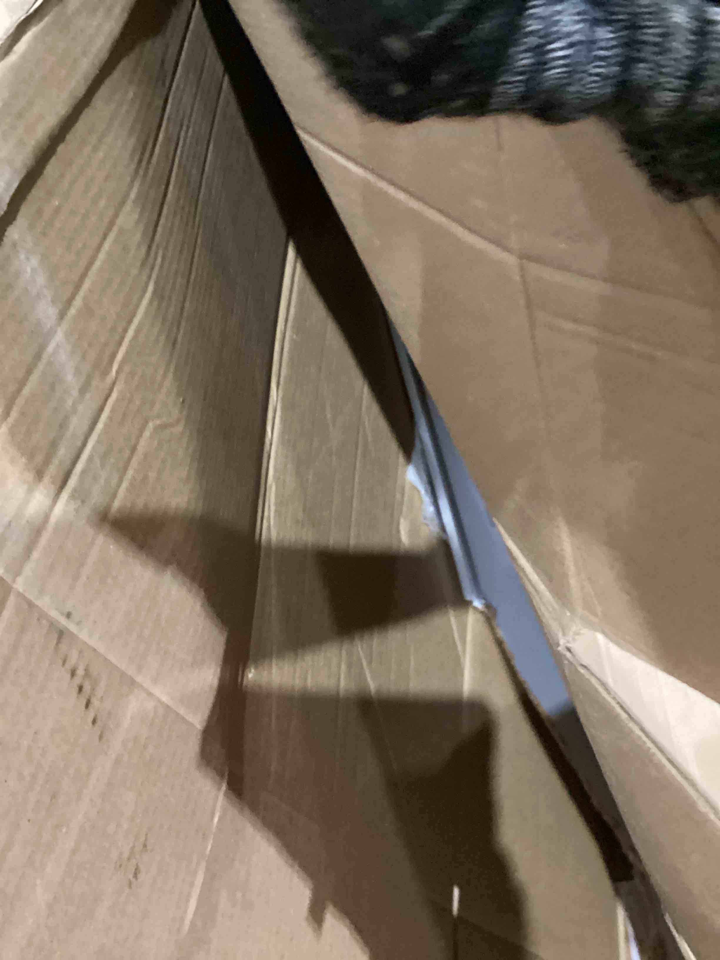 https://s3.amazonaws.com/lotting-images-prod/bidfta/BRN1438165_1753106977148.jpeg