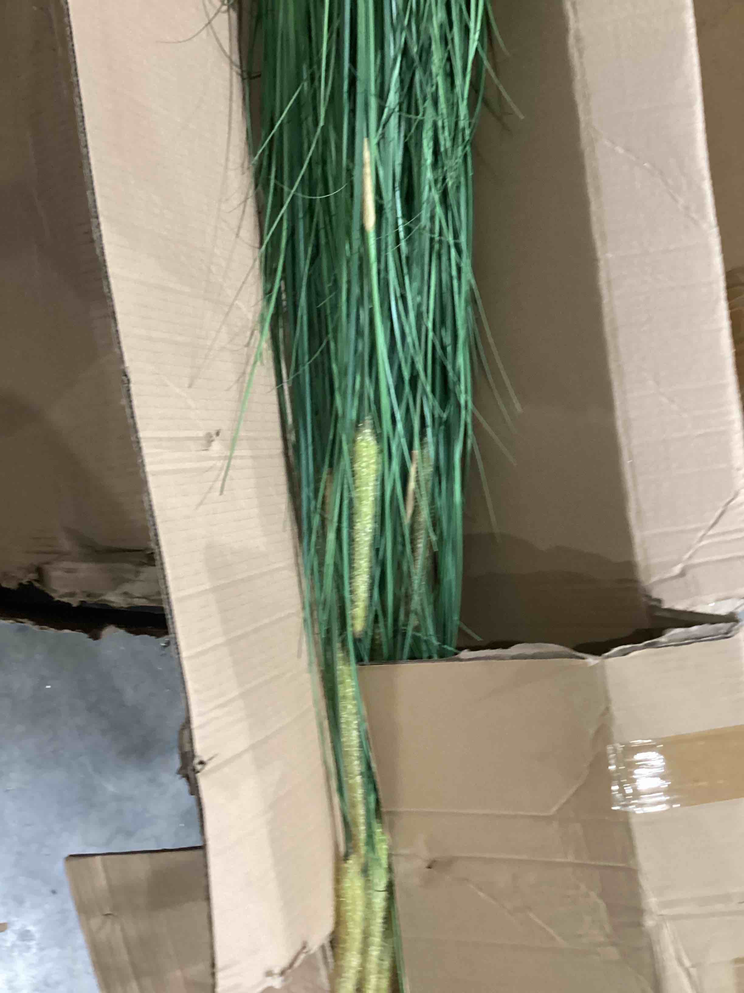 https://s3.amazonaws.com/lotting-images-prod/bidfta/BRN1440313_1755174132841.jpeg
