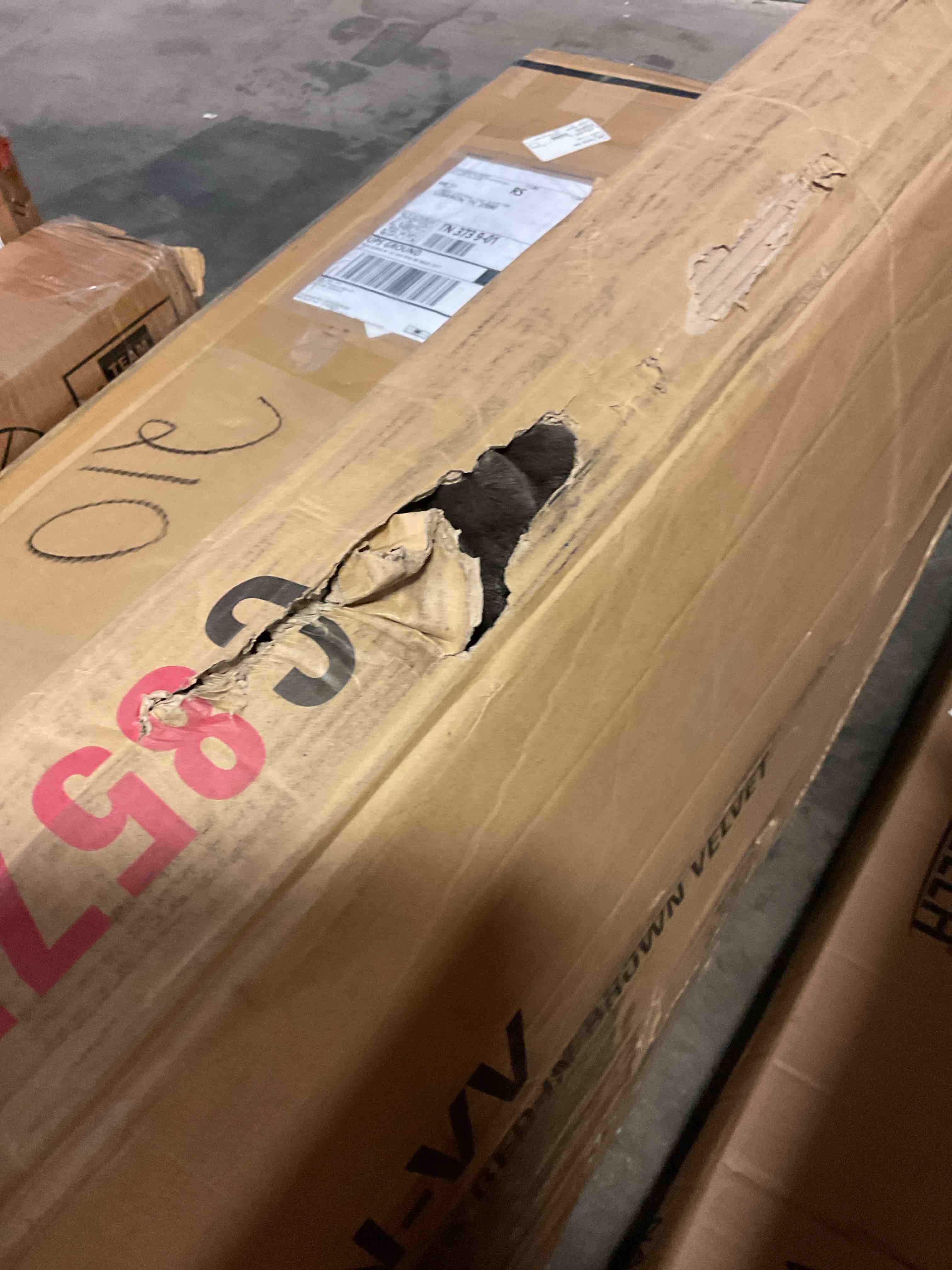 https://s3.amazonaws.com/lotting-images-prod/bidfta/BRN1470704_1756909795217.jpeg