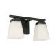 Allen+roth 2-light vanity light