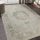 Botwith Vintage Medallion Performance Indoor Area Rug